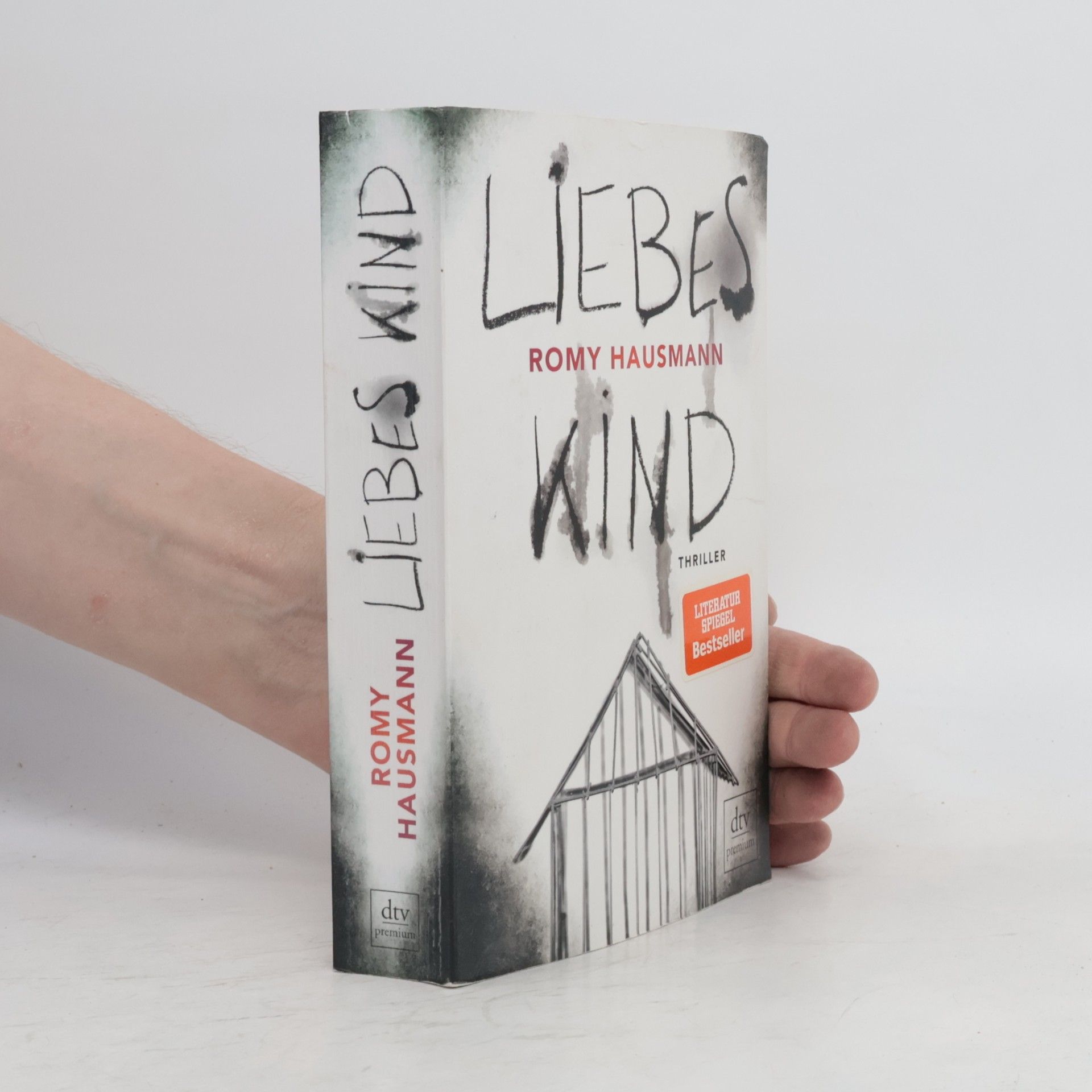 Romy Hausmann Liebes Kind