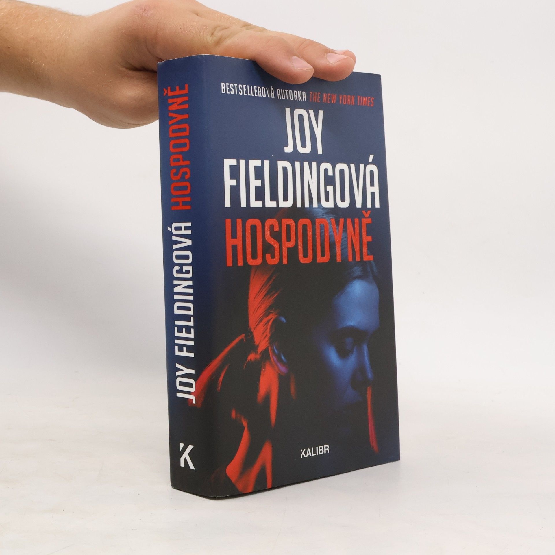 Joy Fielding Hospodyně