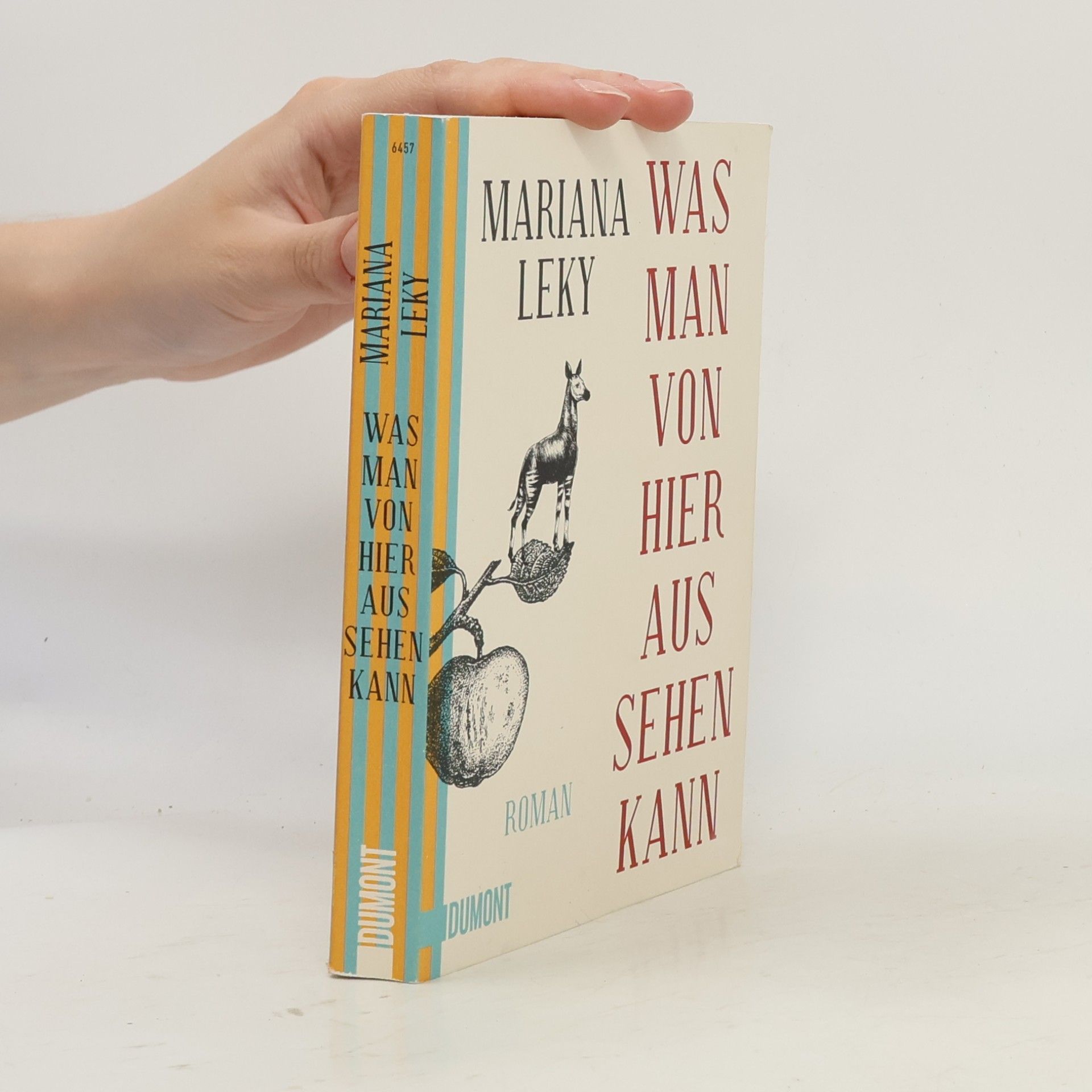 Mariana Leky Was man von hier aus sehen kann