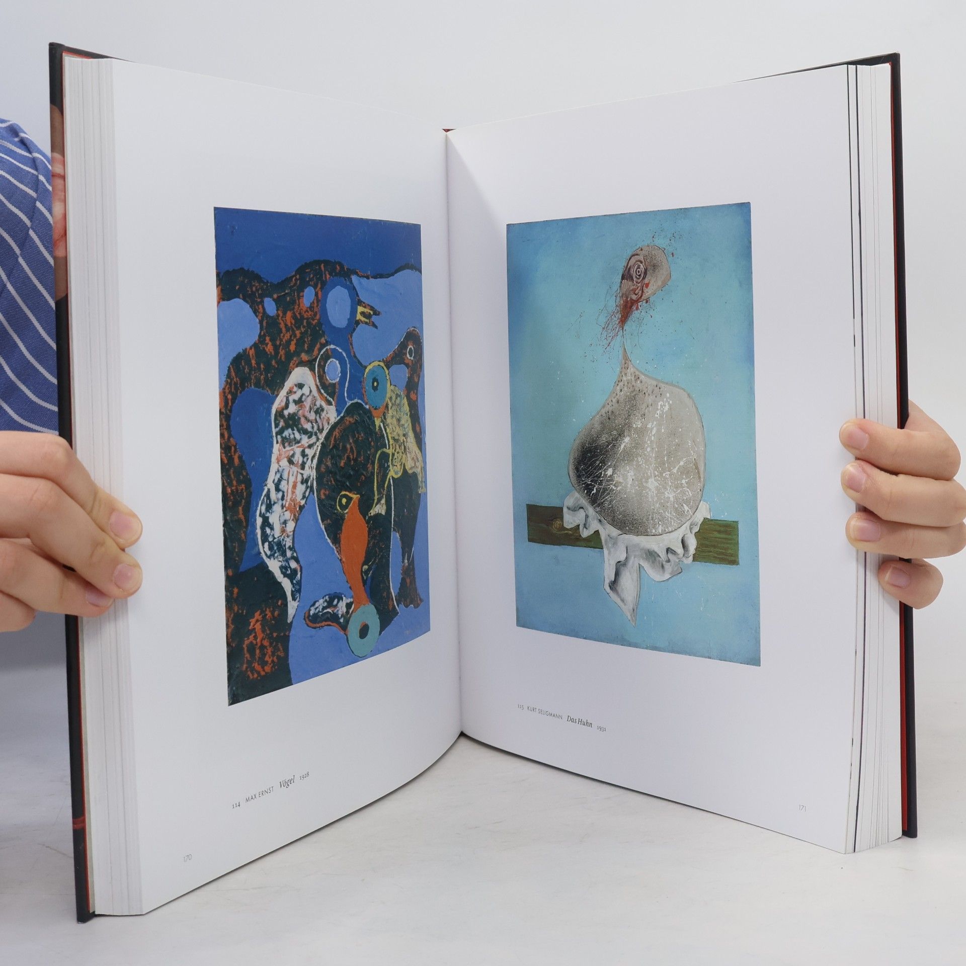 Michael Baumgartner Paul Klee und die Surrealisten