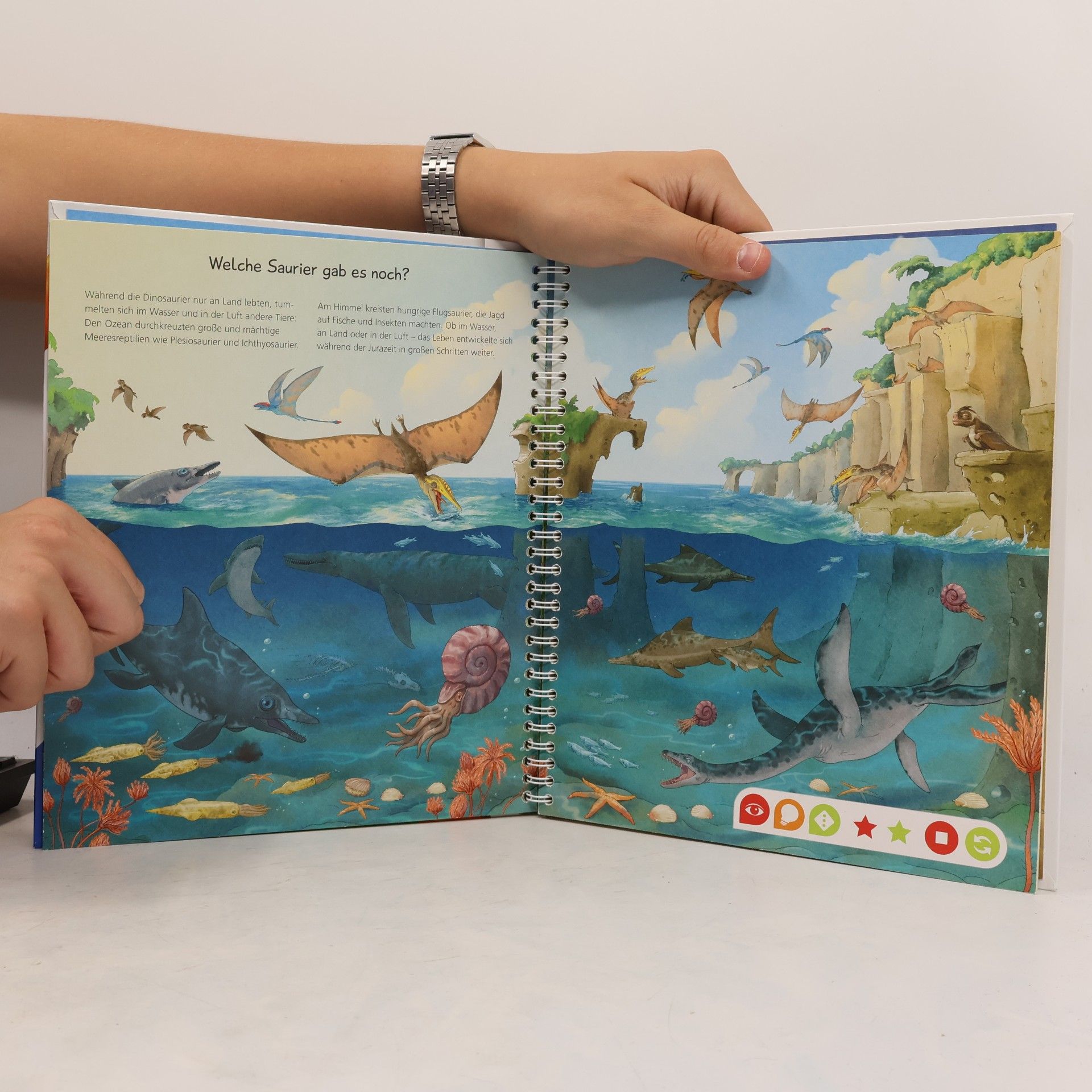 Inka Friese tiptoi® Wieso? Weshalb? Warum? Wir entdecken die Dinosaurier