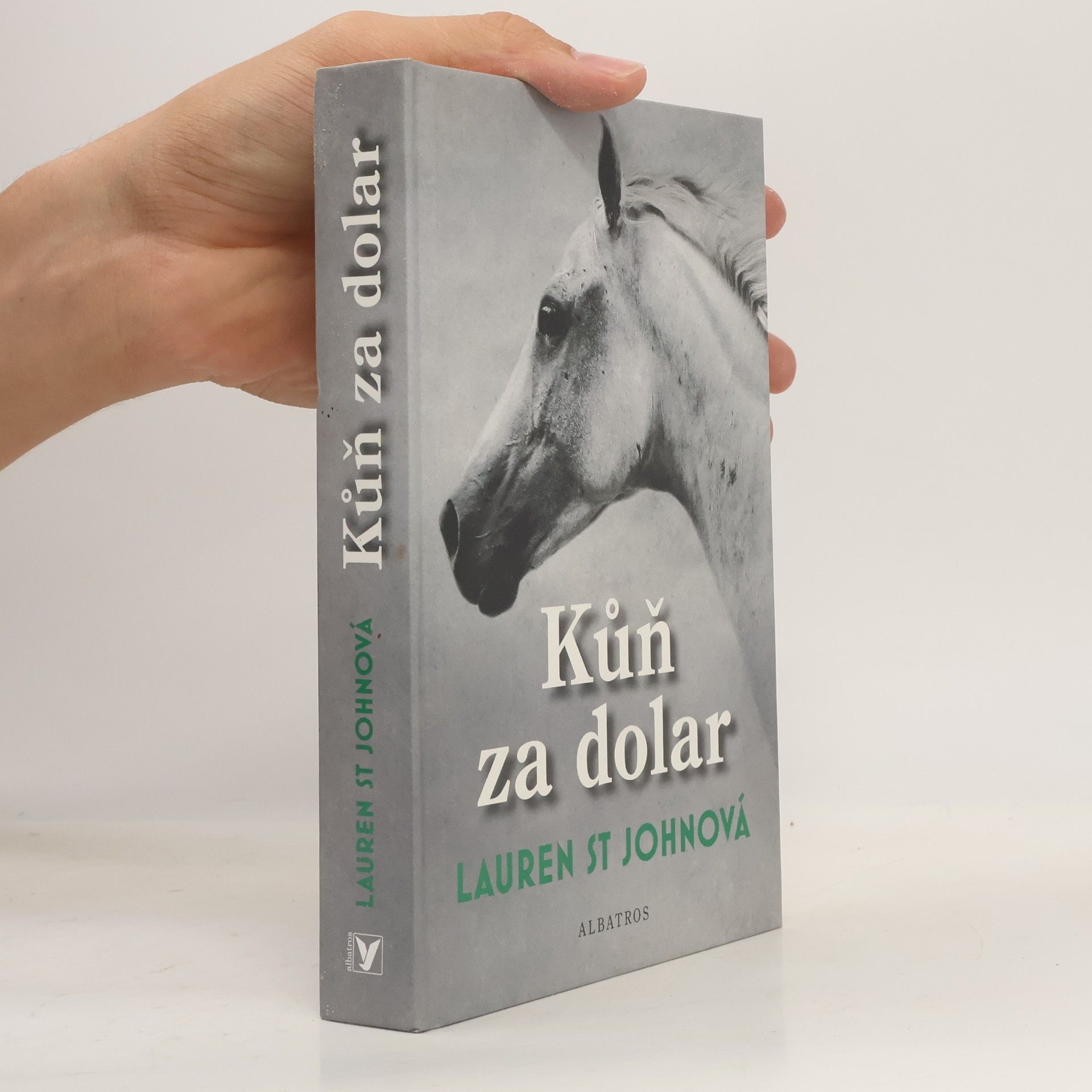 Lauren St. John Kůň za dolar