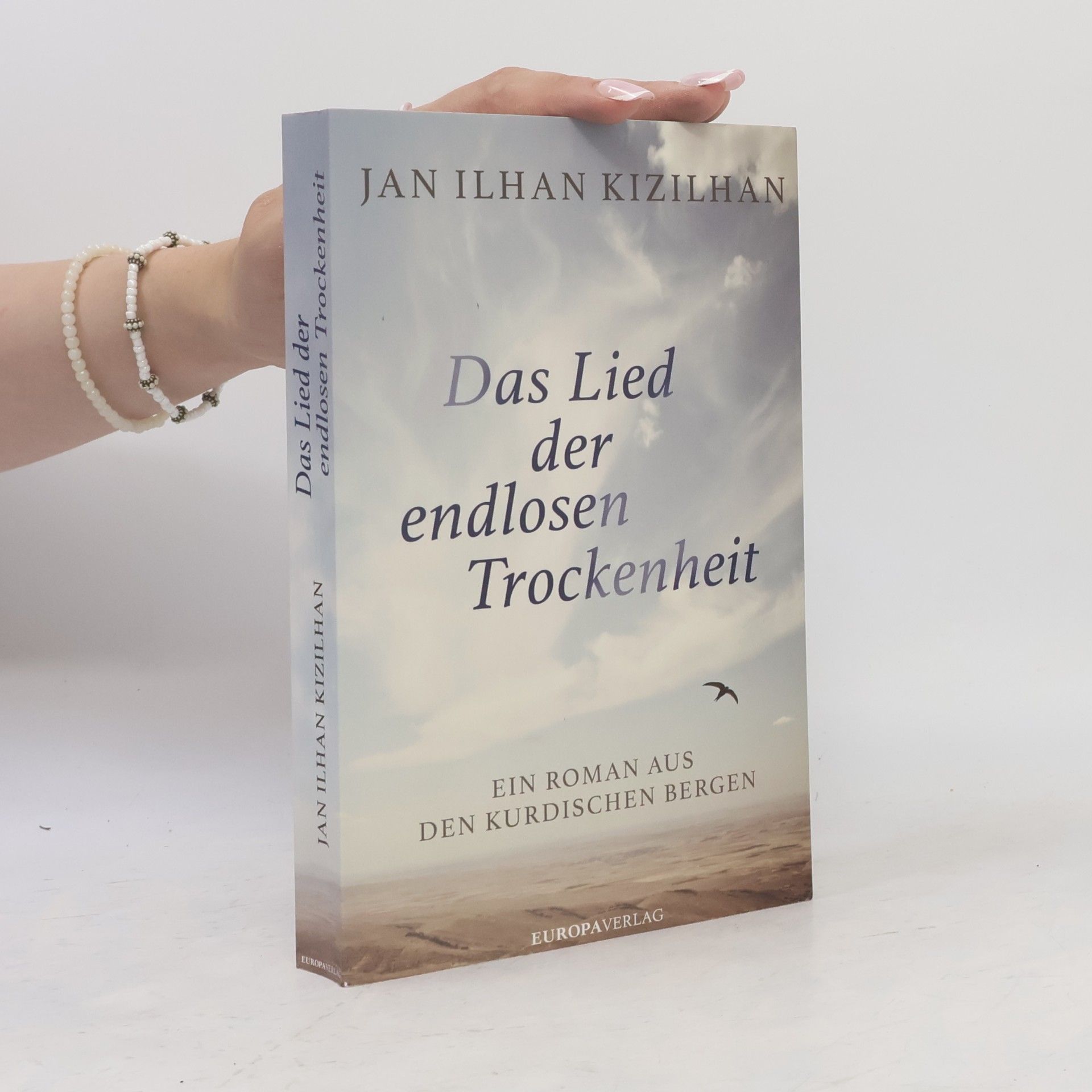 Jan I. lhan Kızılhan Das Lied der endlosen Trockenheit