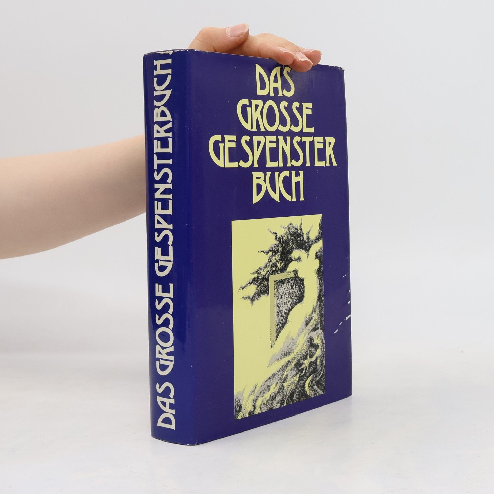 Eva Raupp Schliemann Das grosse Gespensterbuch