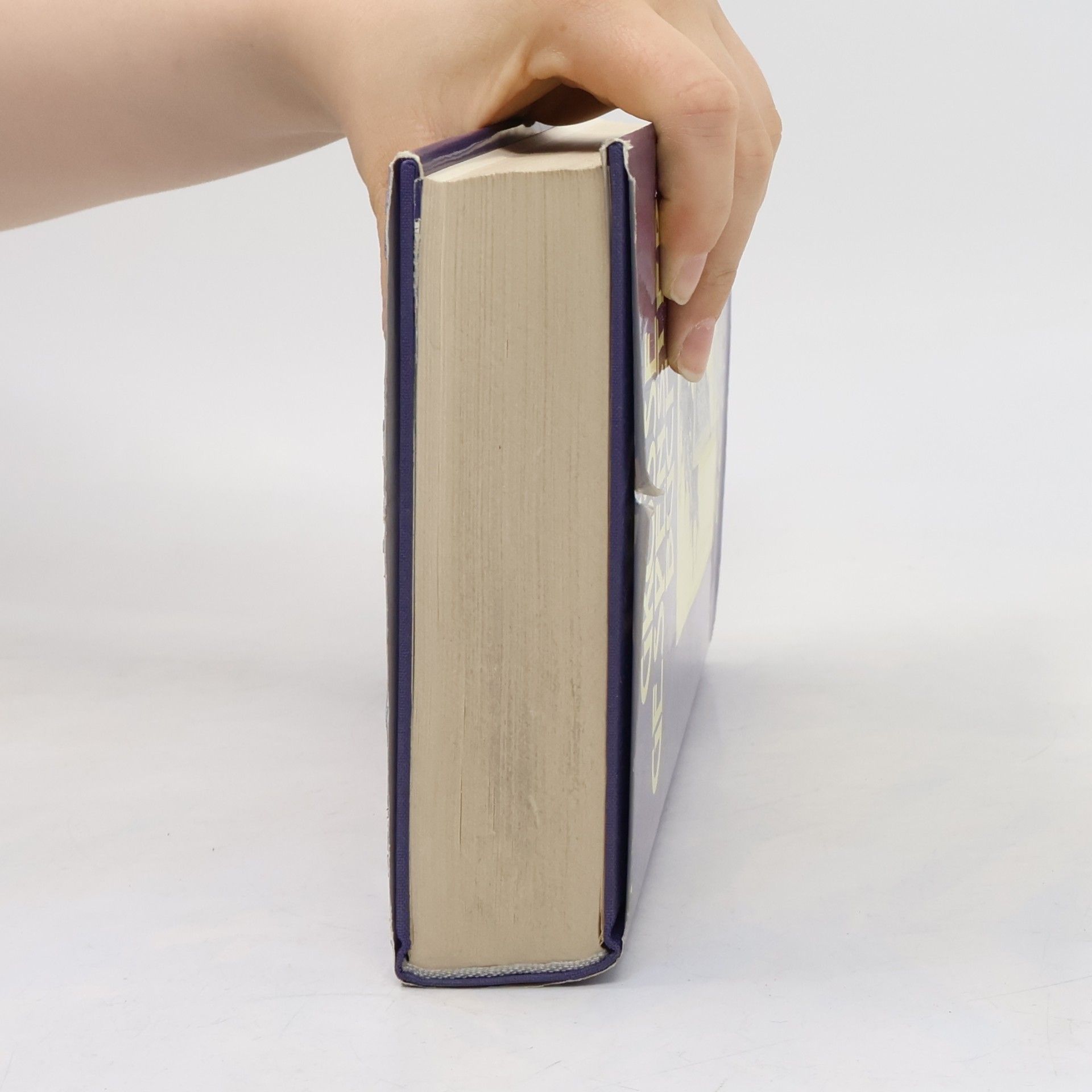 Eva Raupp Schliemann Das grosse Gespensterbuch