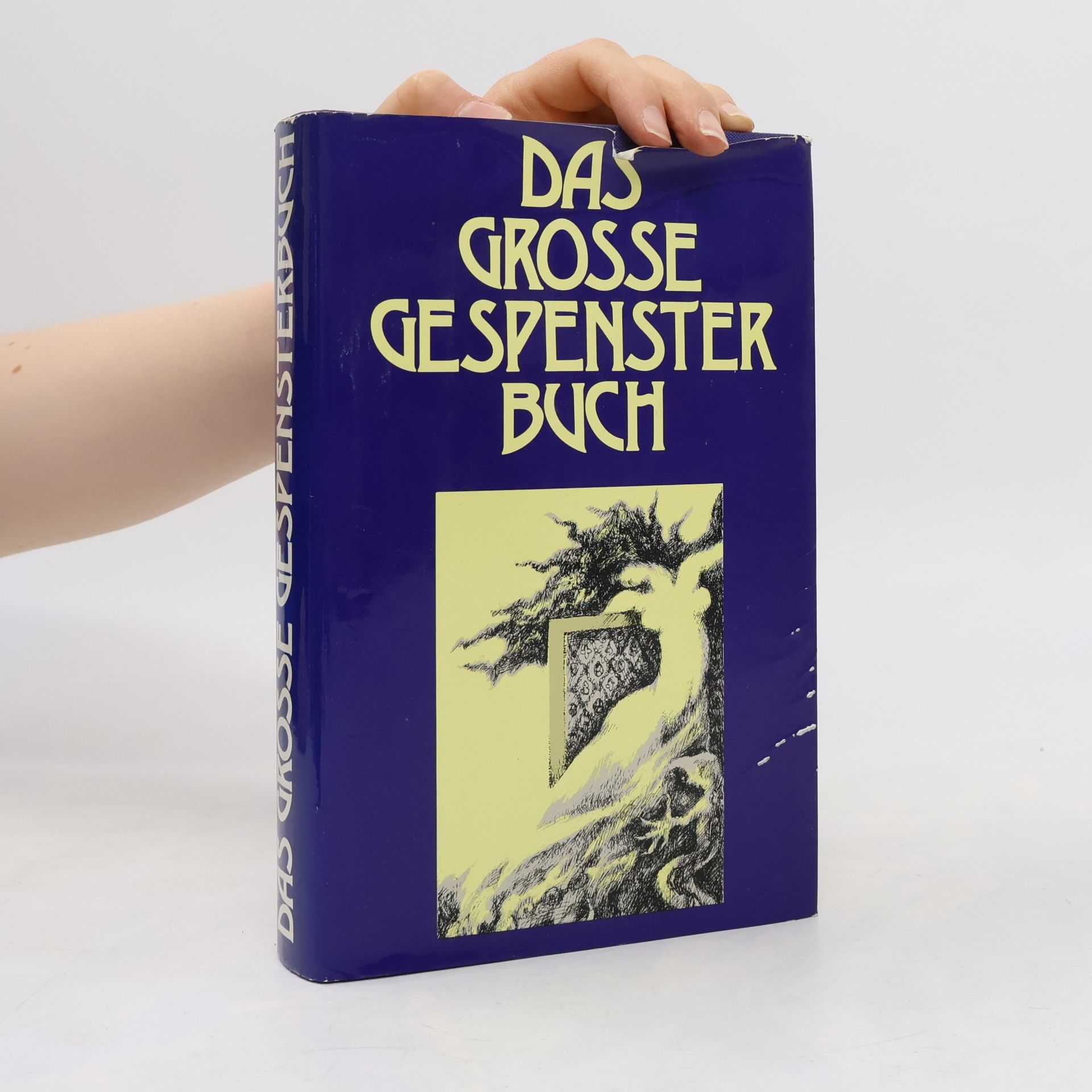 Eva Raupp Schliemann Das grosse Gespensterbuch