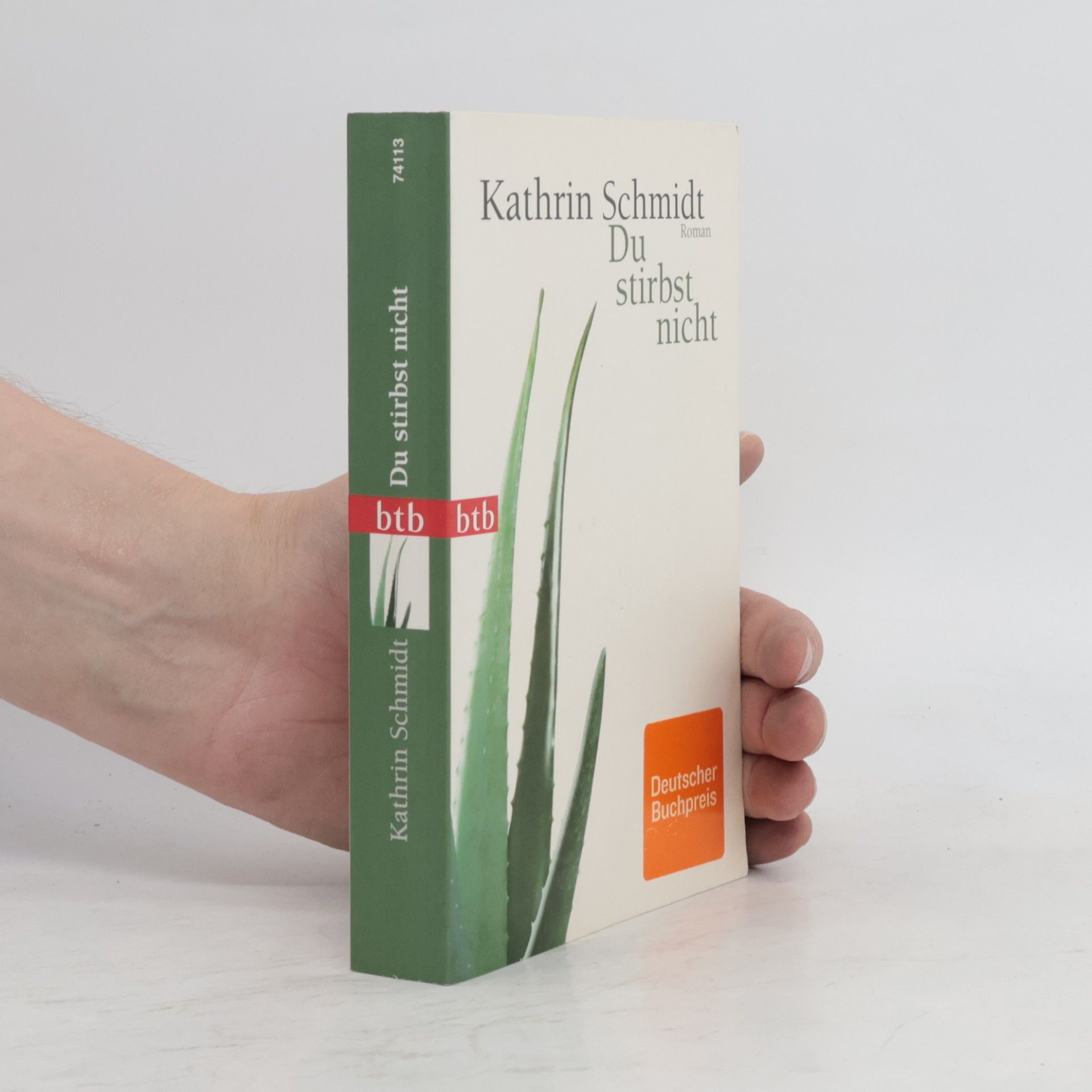 Kathrin Schmidt Du stirbst nicht