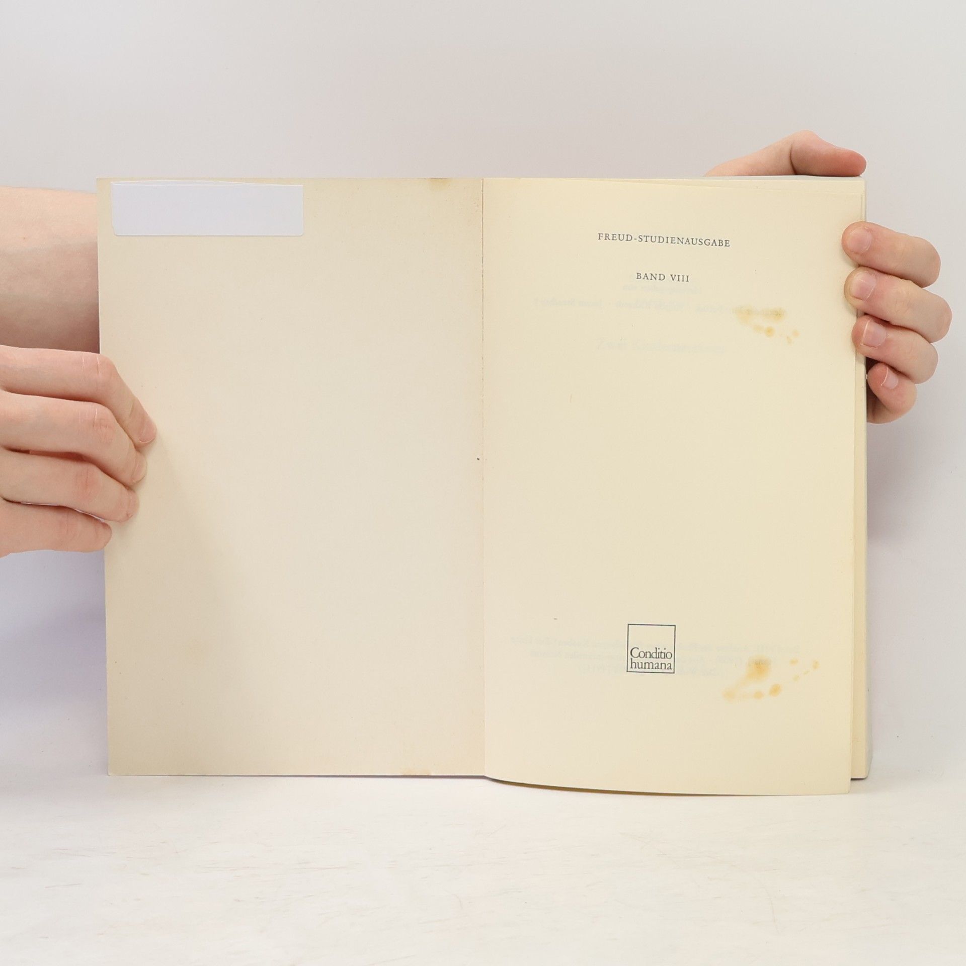 Sigmund Freud Zwei Kinderneurosen VIII