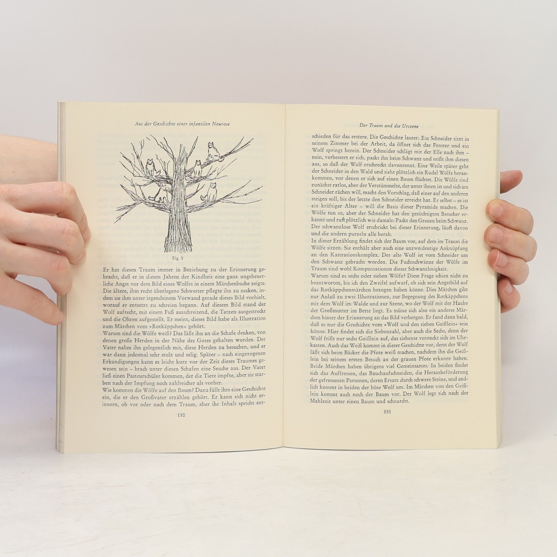 Sigmund Freud Zwei Kinderneurosen VIII