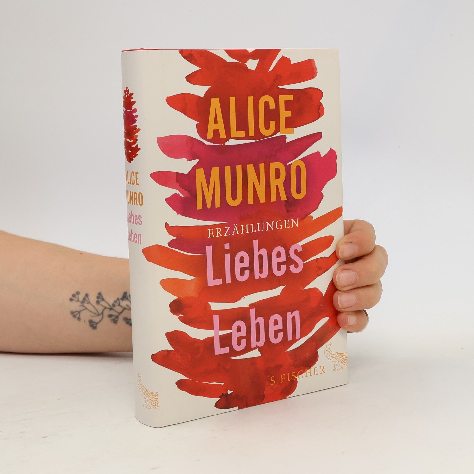 Alice Munro Liebes Leben