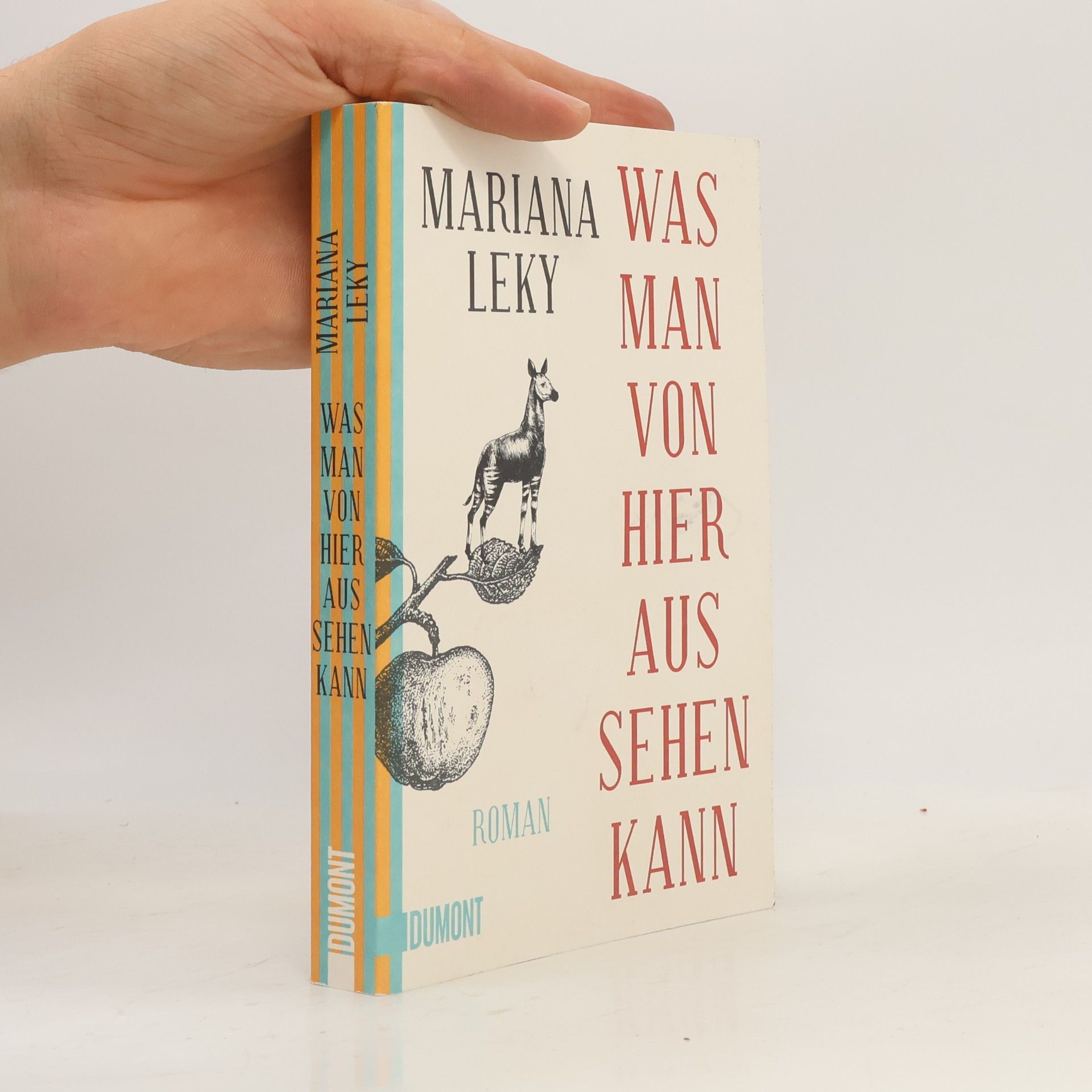Mariana Leky Was man von hier aus sehen kann