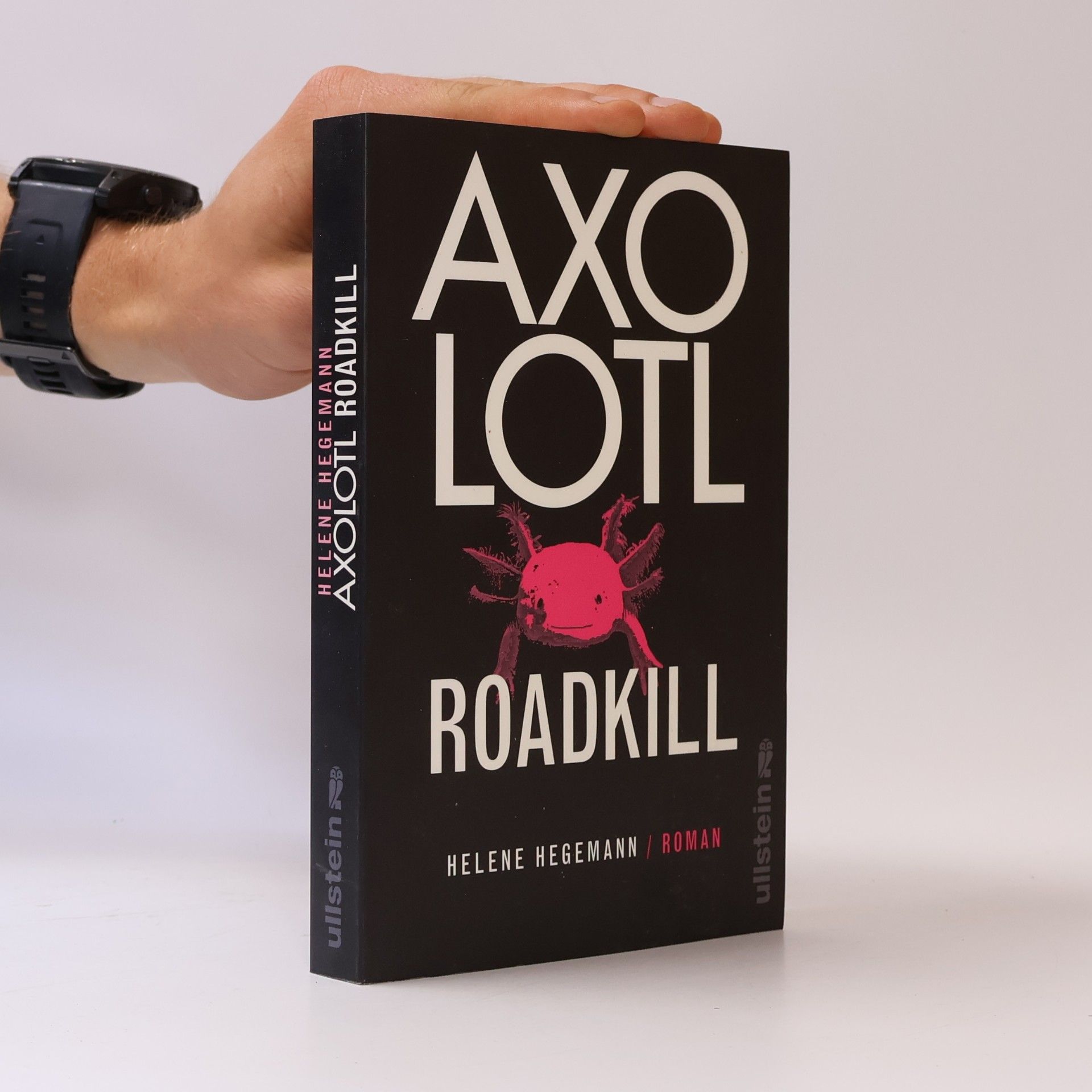 Helene Hegemann Axolotl Roadkill : Roman