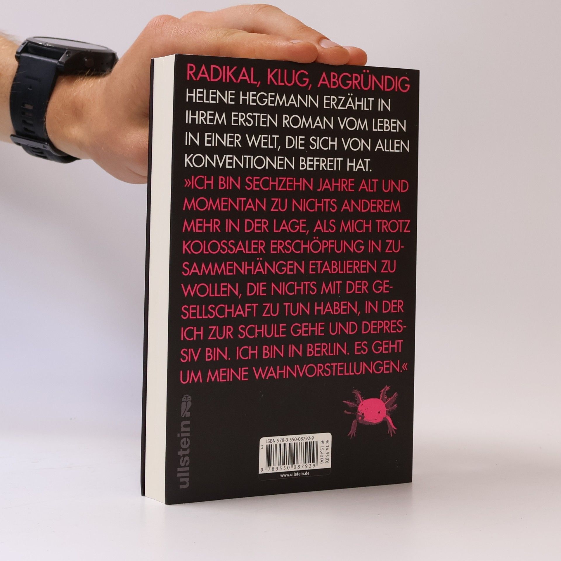 Helene Hegemann Axolotl Roadkill : Roman