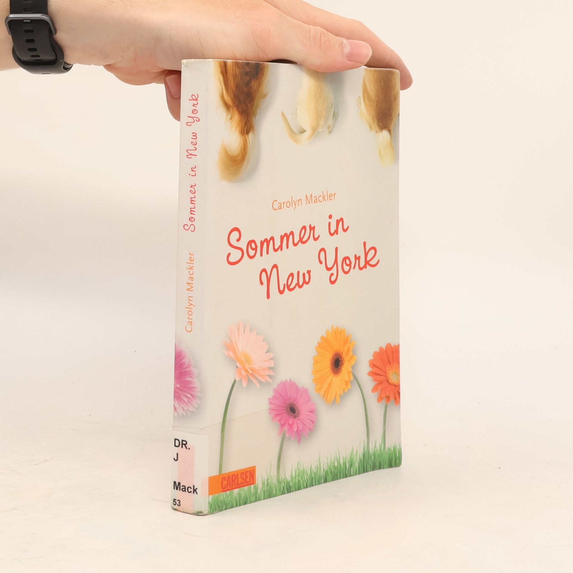 Carolyn Mackler Sommer in New York