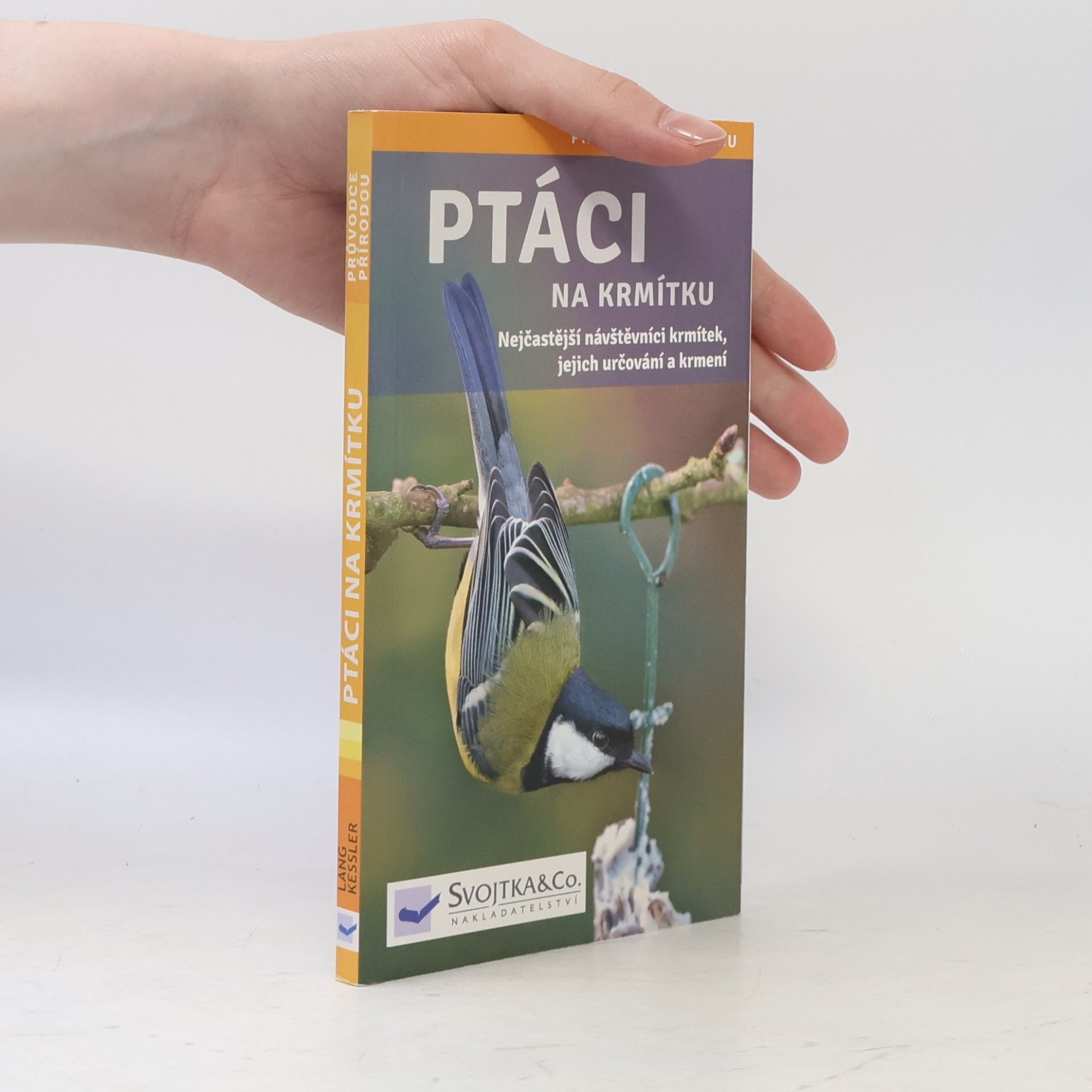 Ptáci na krmítku
