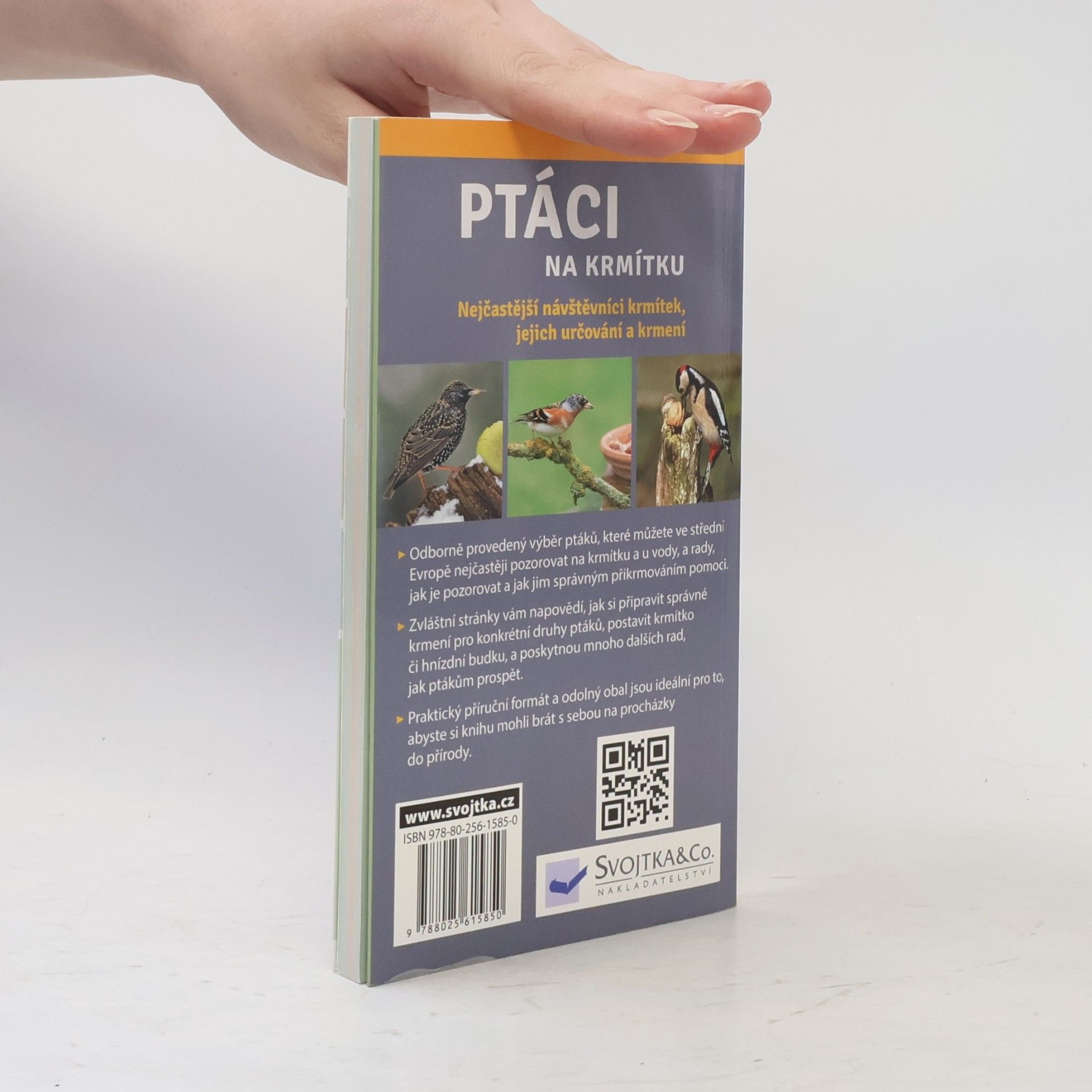 Angelika Lang Ptáci na krmítku
