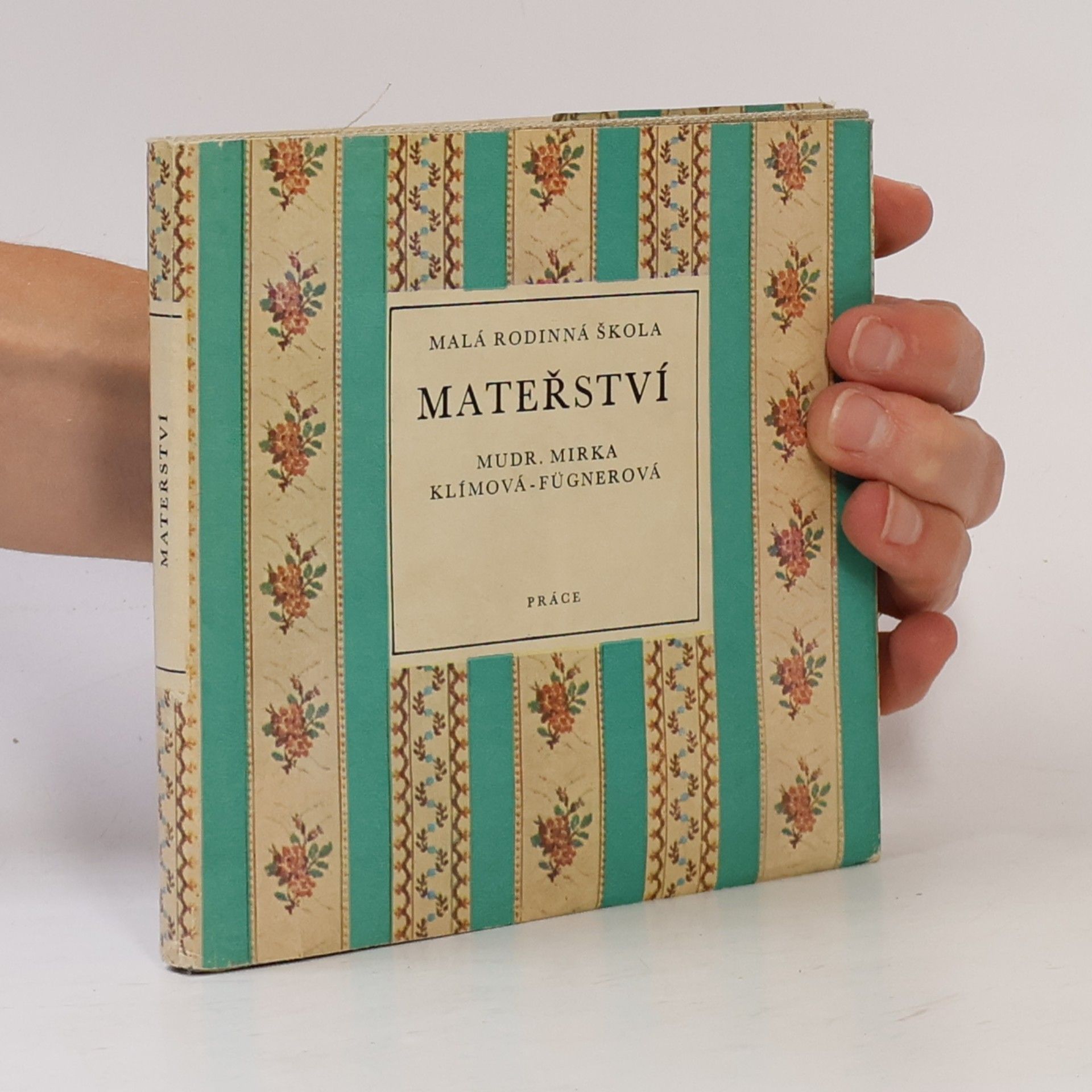 Malá rodinná škola mateřství