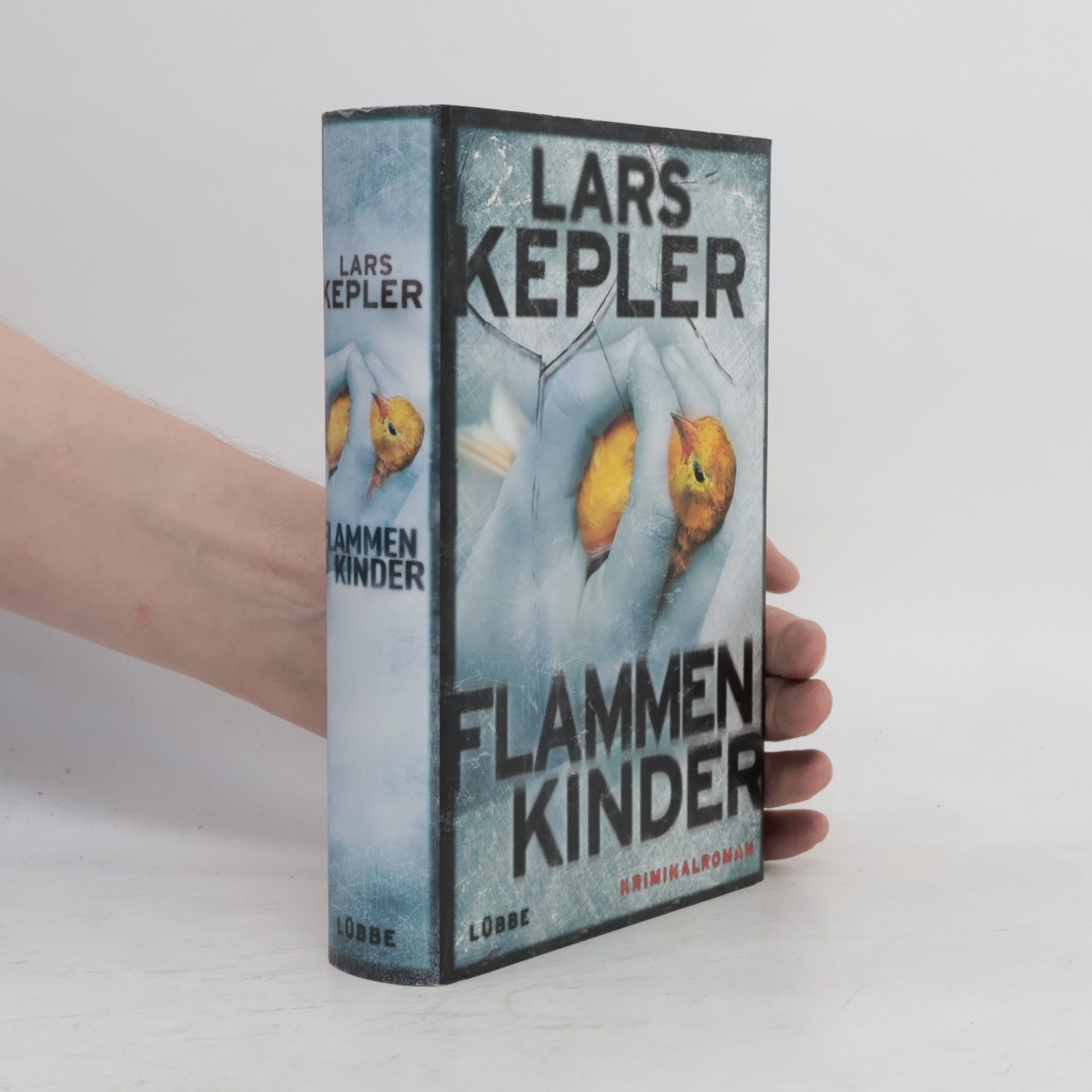 Lars Kepler Flammen Kinder