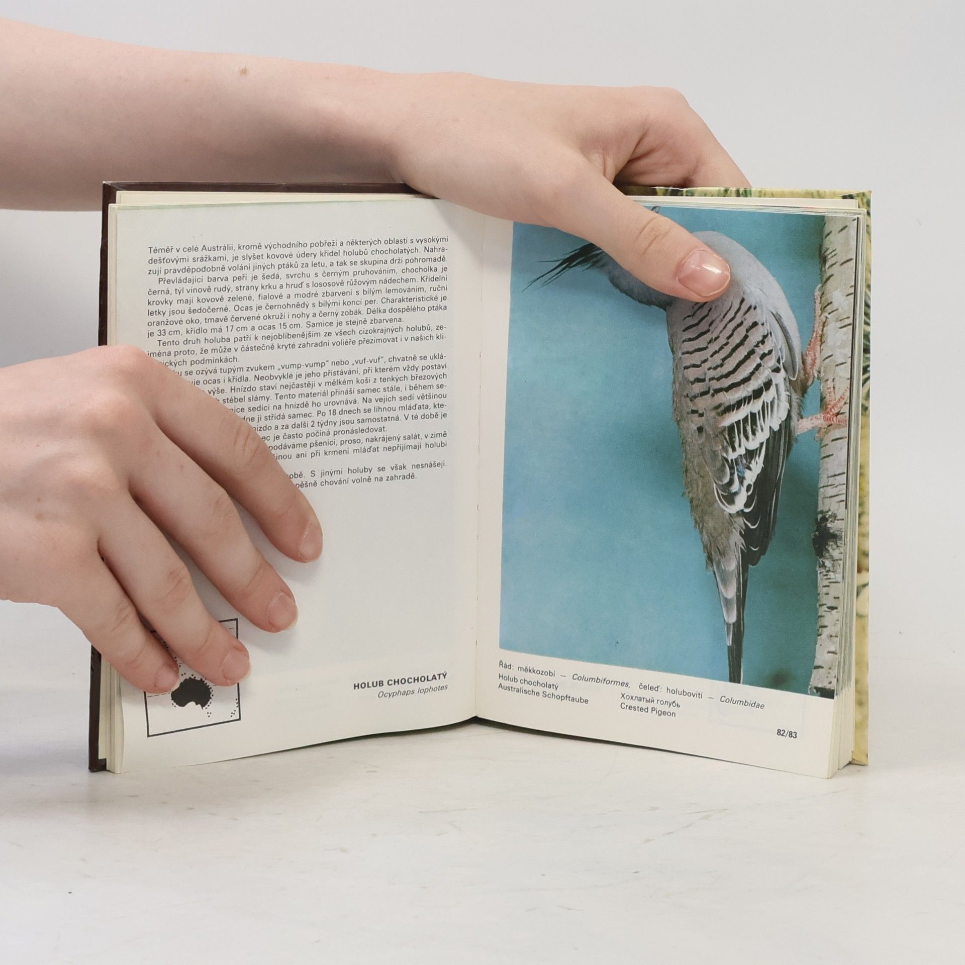 Zdeněk Veger Kapesní atlas cizokrajných ptáků