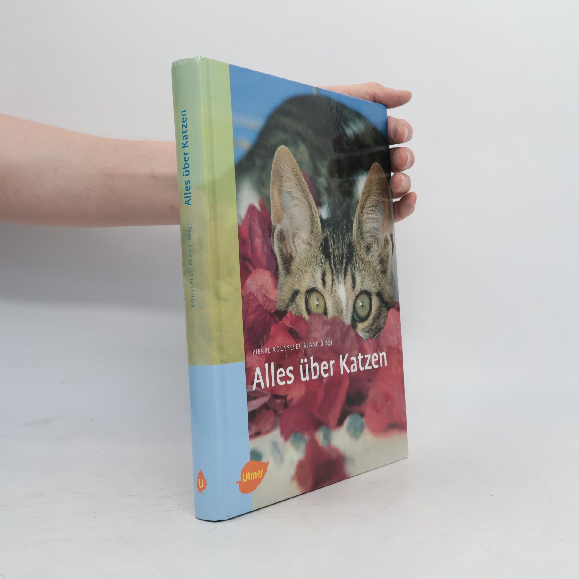 Pierre Rousselet Blanc Alles über Katzen