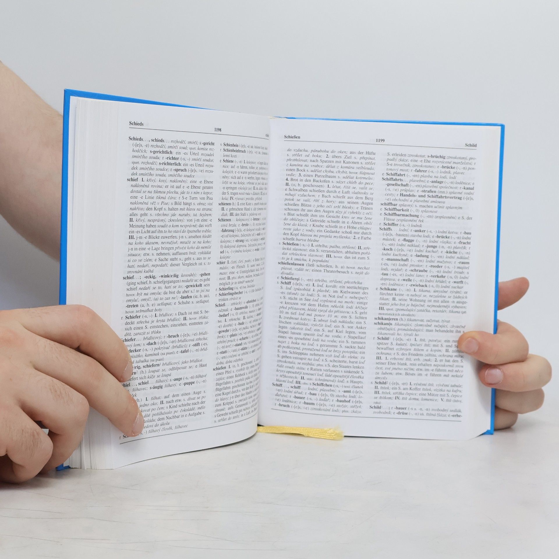 Autorenkollektiv Německočeský slovník M-Z