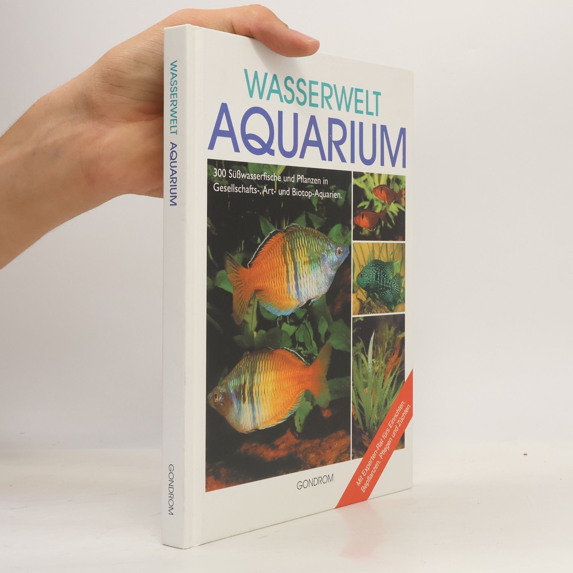 Wasserwelt Aquarium