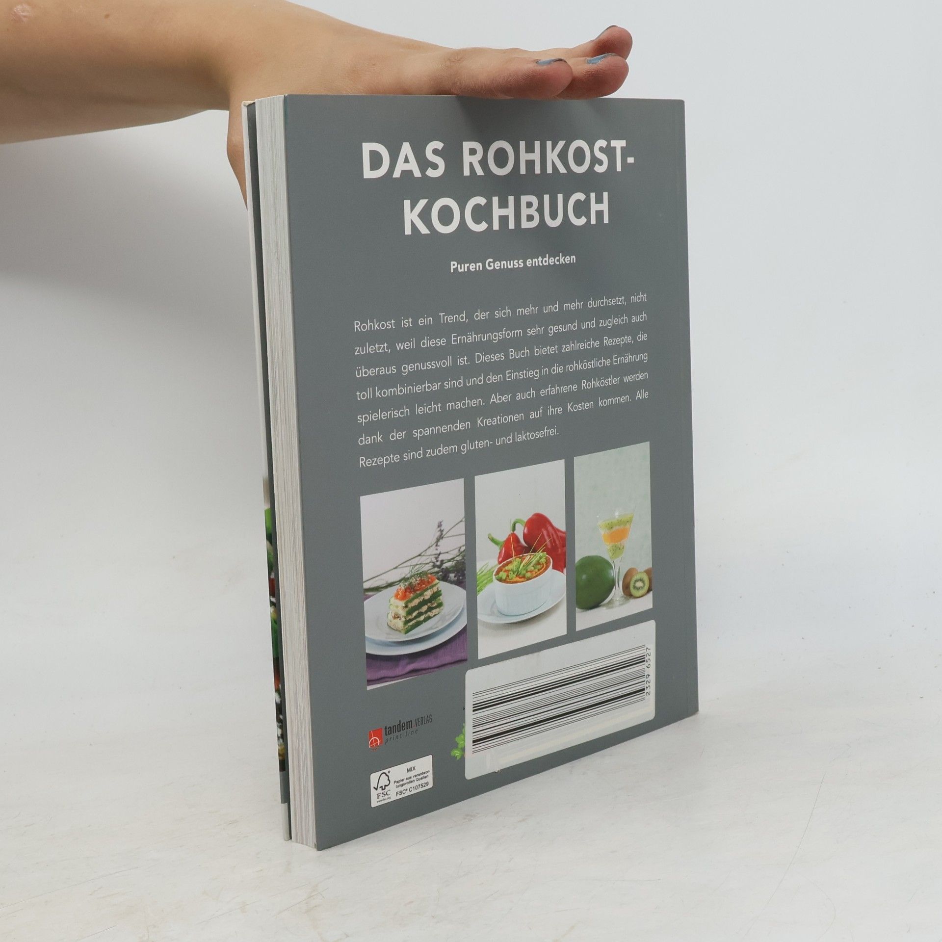Autorenkollektiv Das Rohkost-Kochbuch
