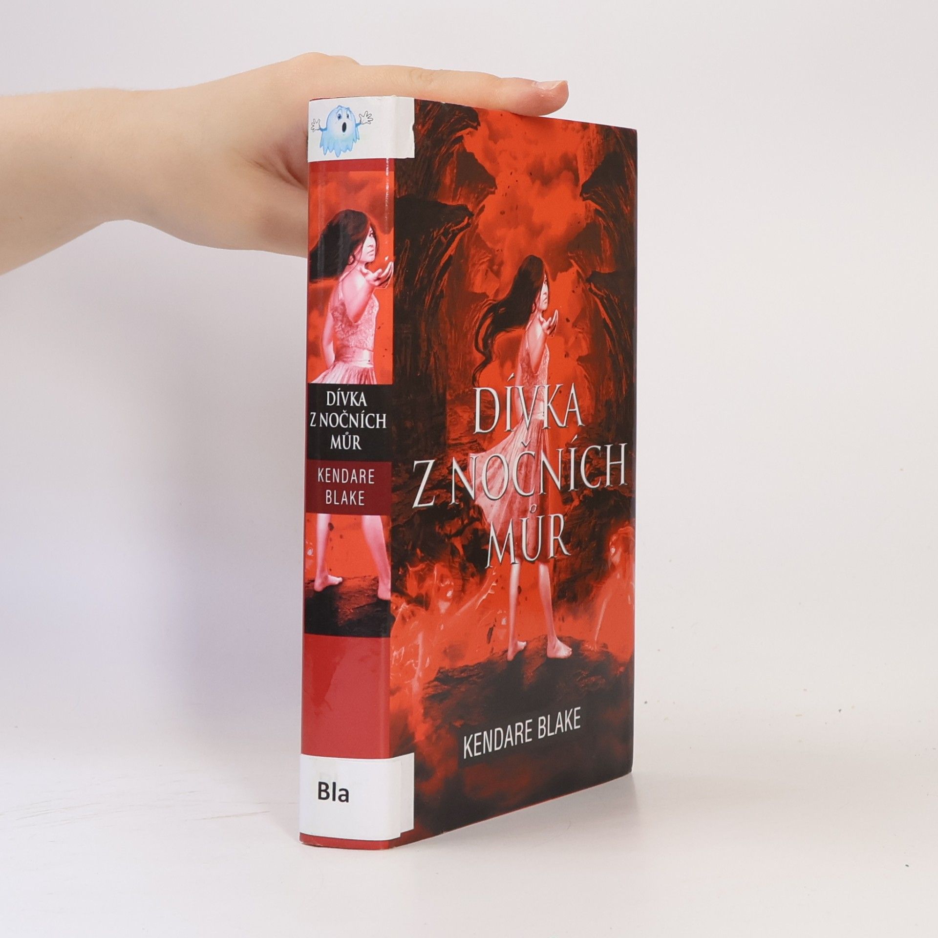 Kendare Blake Dívka z nočních můr
