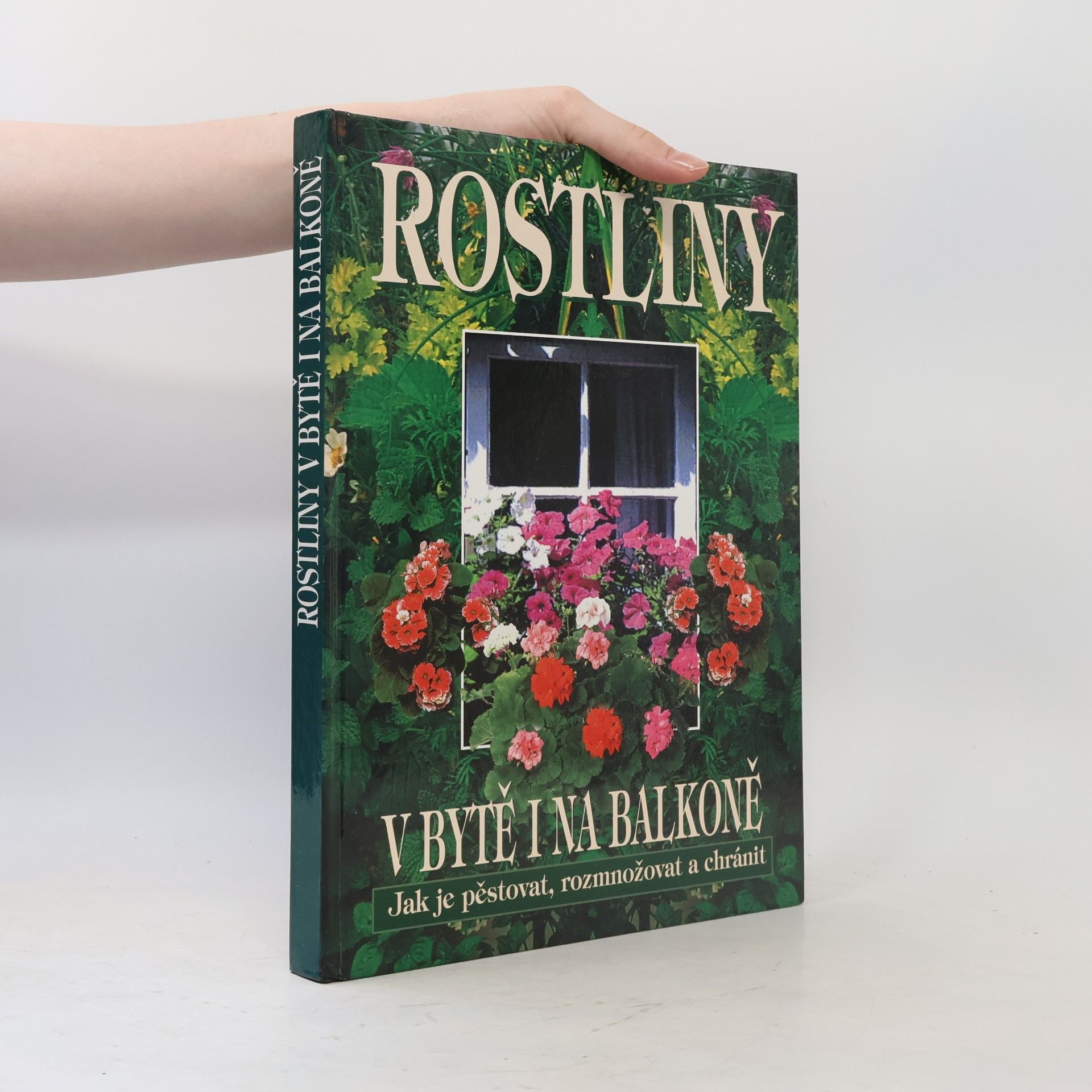Autorenkollektiv Rostliny v bytě i na balkoně