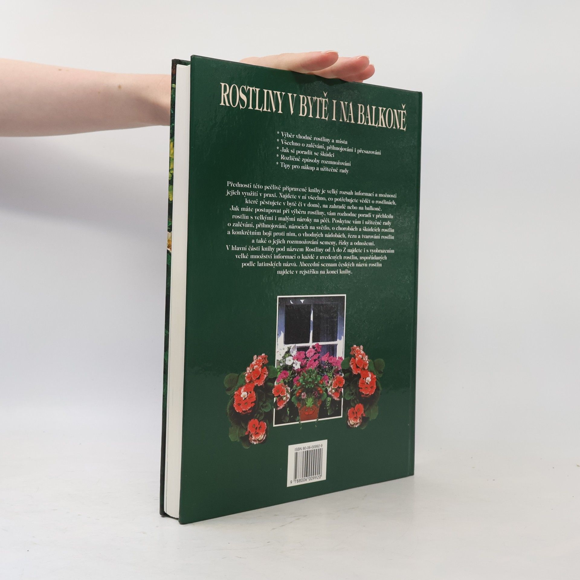 Autorenkollektiv Rostliny v bytě i na balkoně