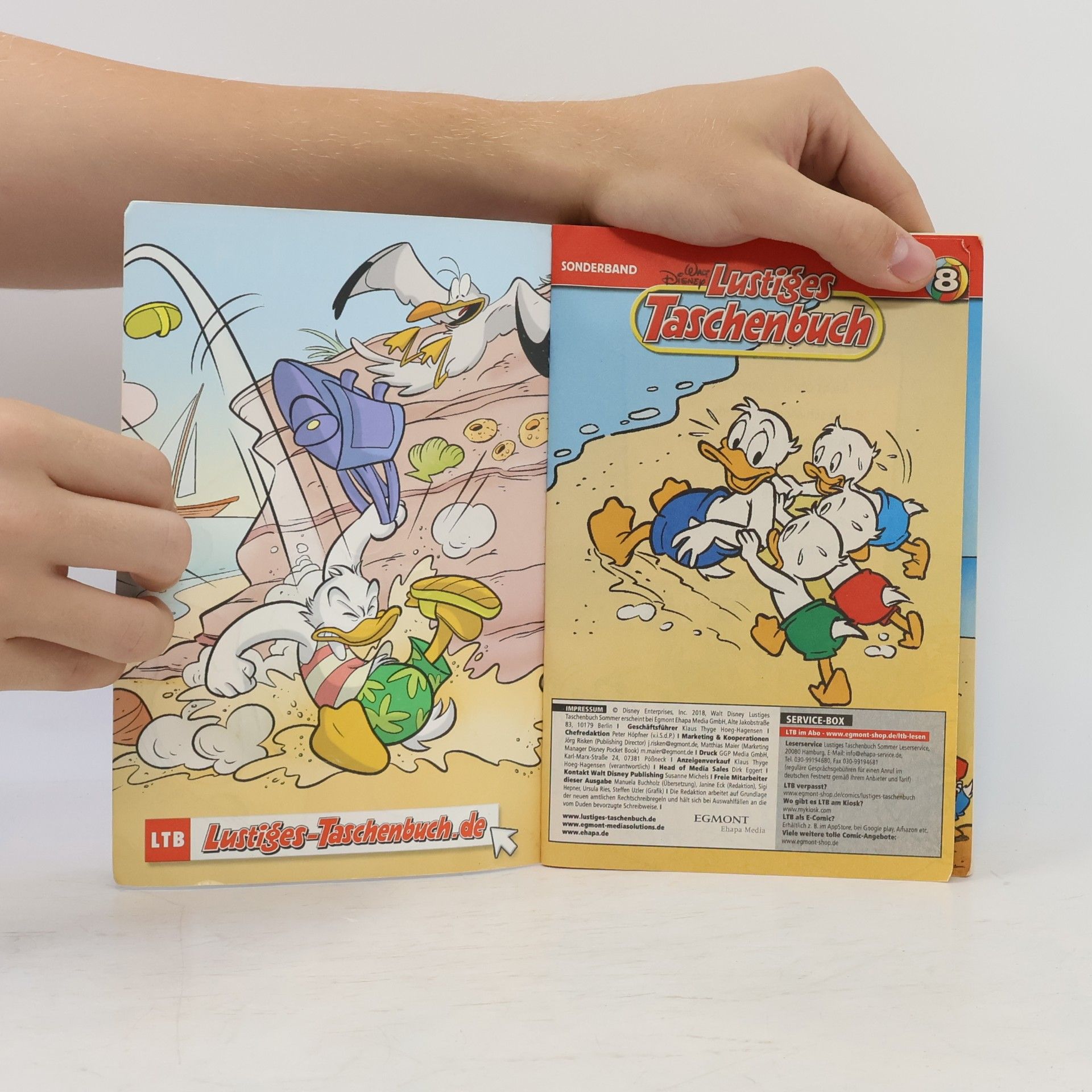 Walt Disney Lustiges Taschenbuch 8. Sommergeschichten