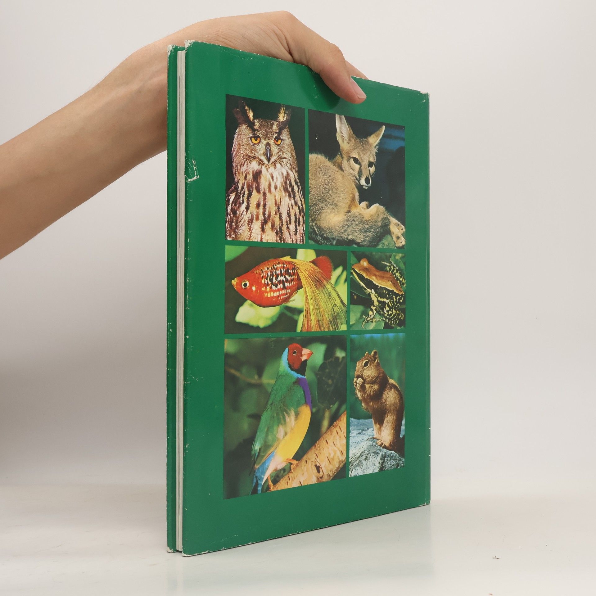 Various authors Grosses Lexikon der Tierwelt 3