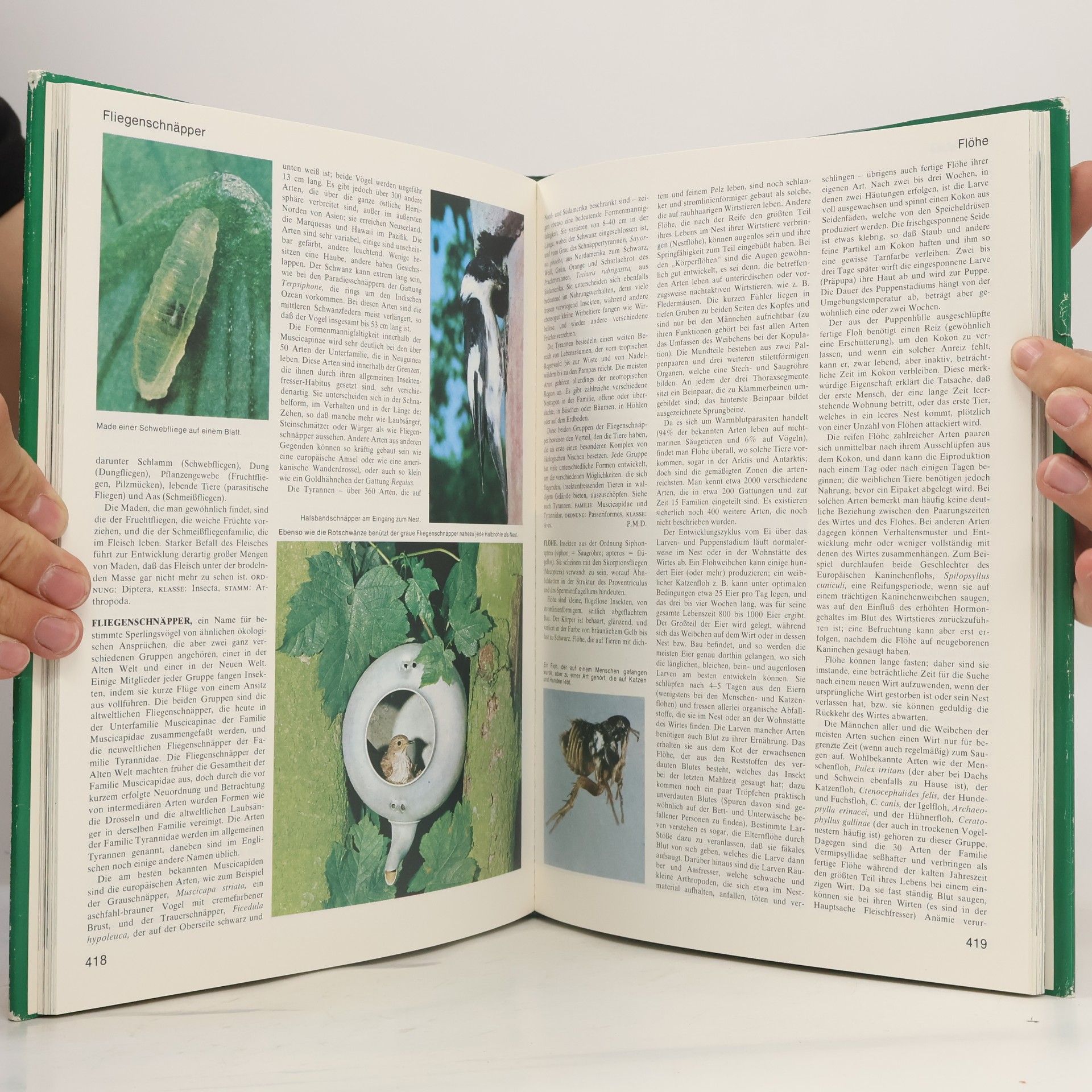 Various authors Grosses Lexikon der Tierwelt 3