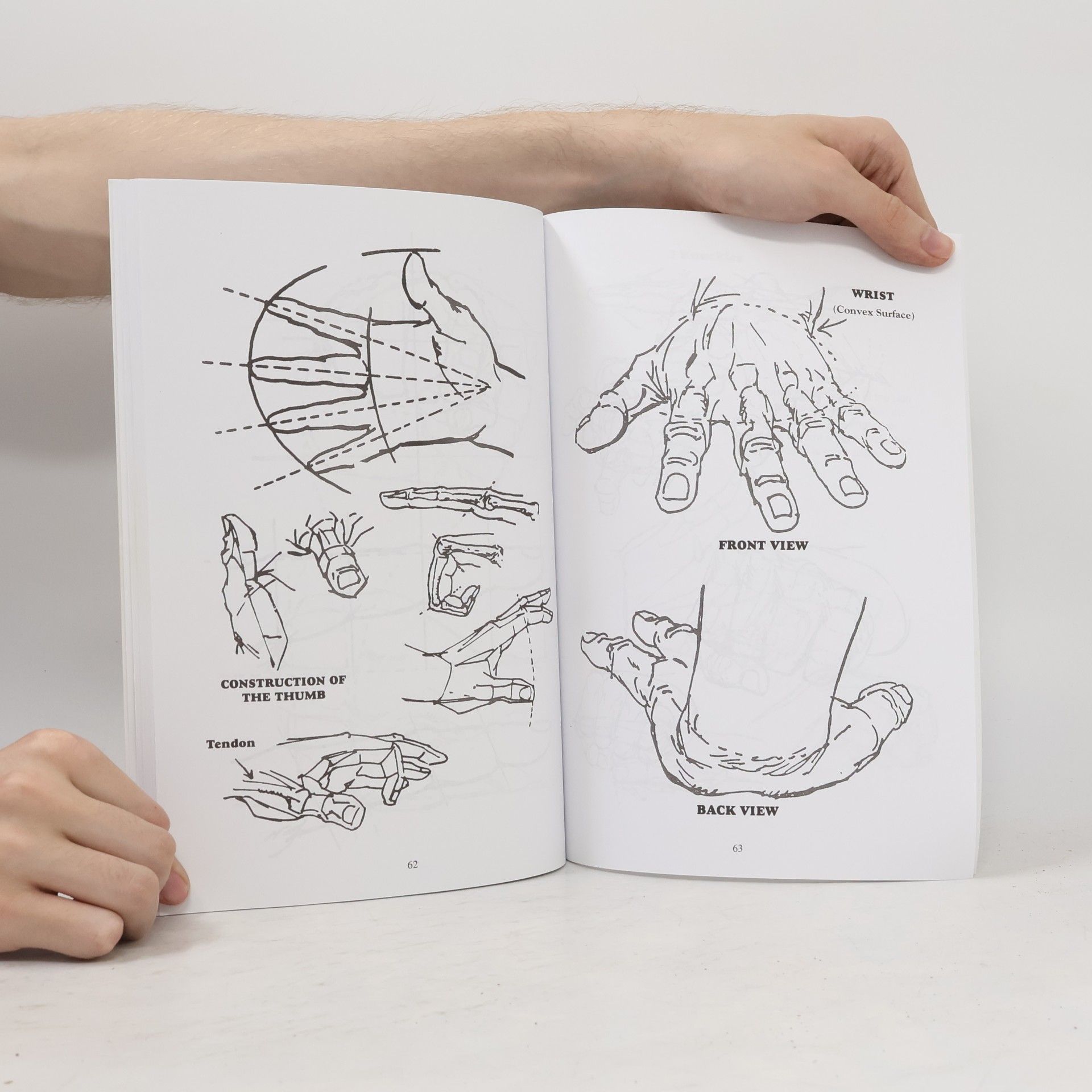Elizabeth Helling How to Draw Comics