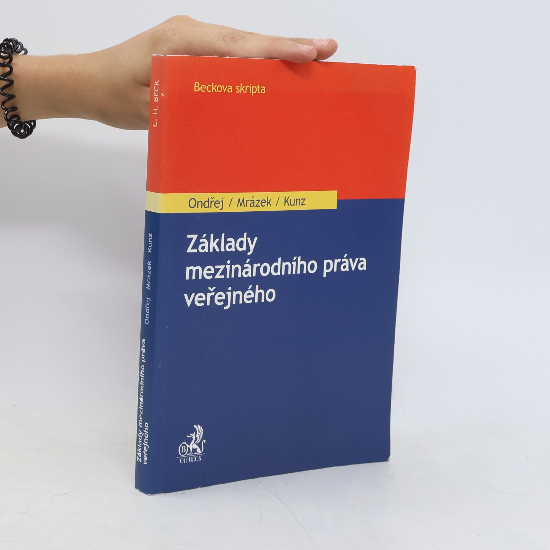Základy mezinárodního práva veřejného