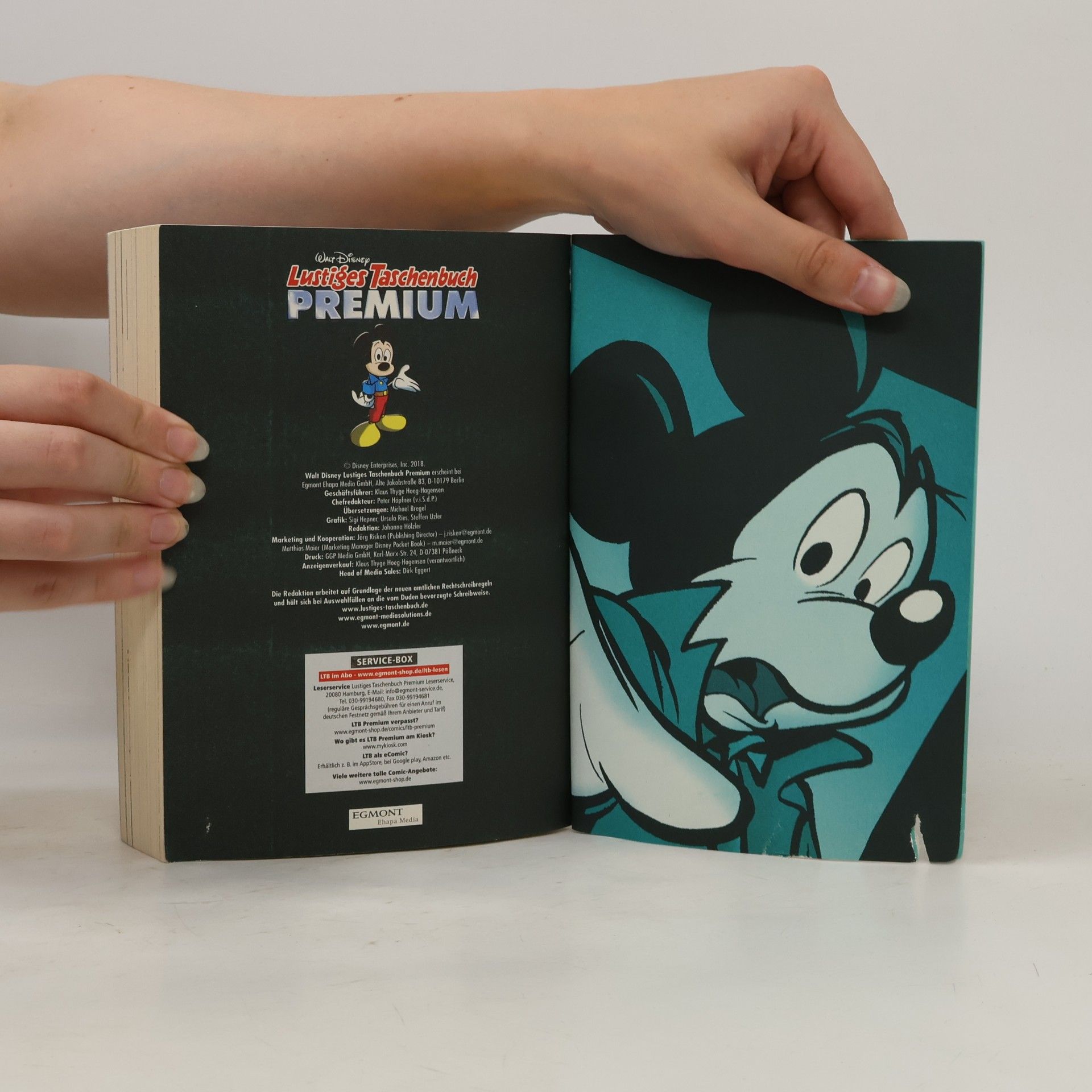 Walt Disney Lustiges Taschenbuch Premium 19