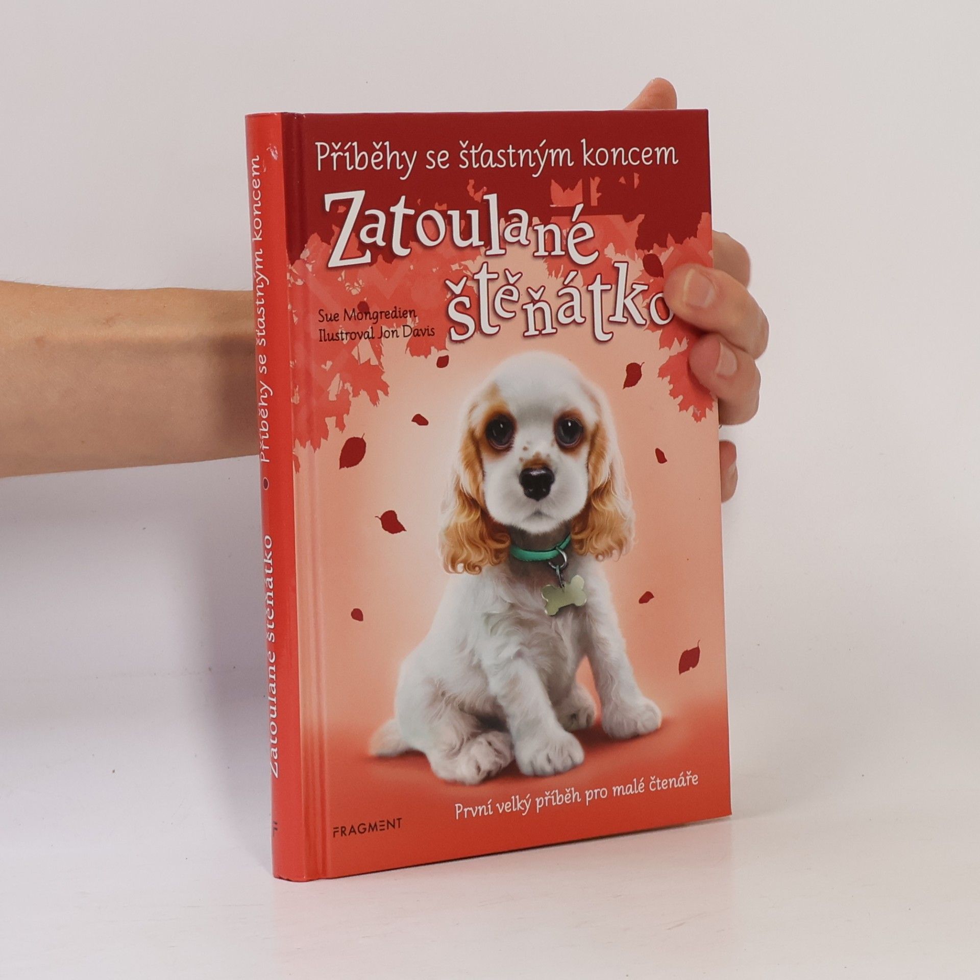Lucy Diamond Zatoulané štěňátko