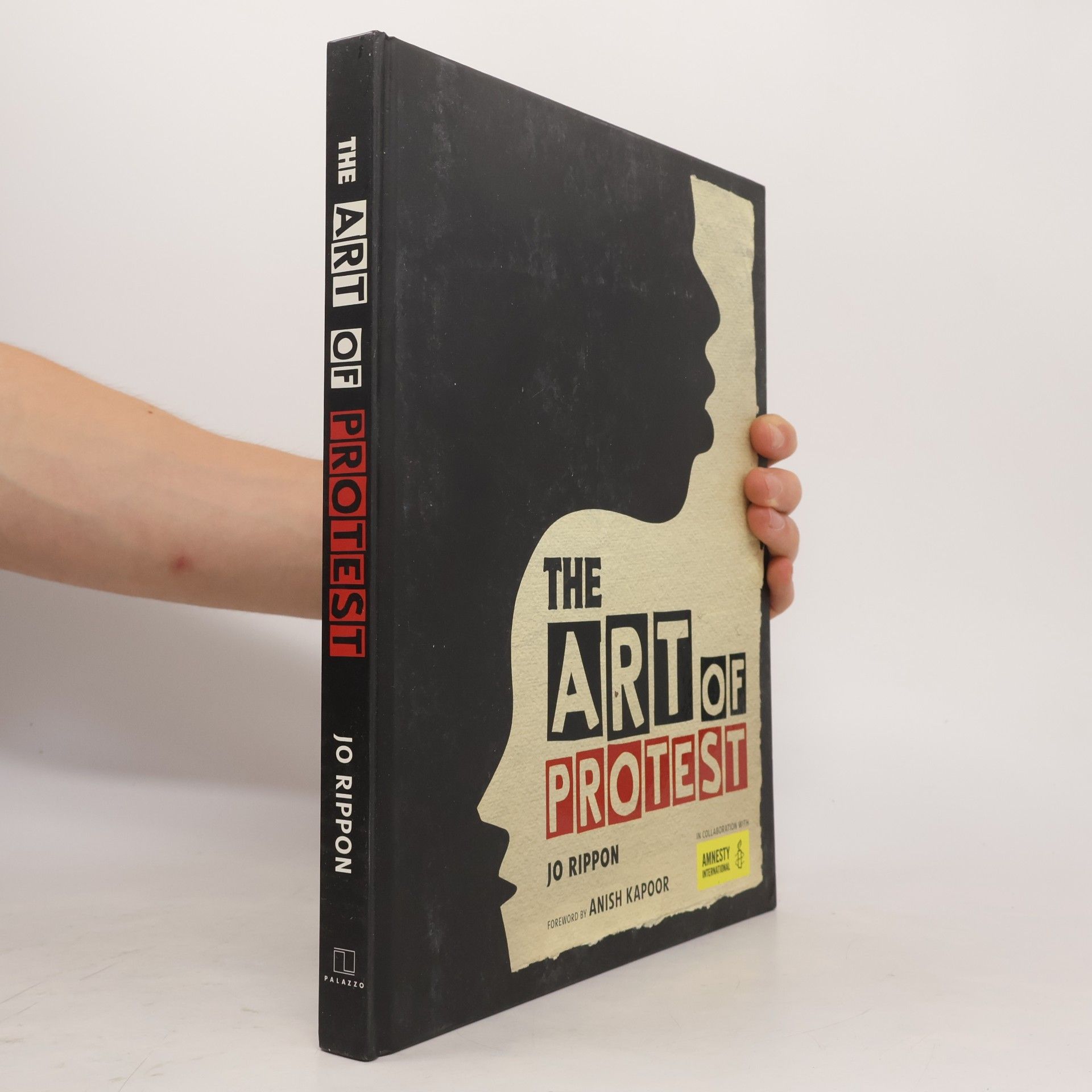 Joanne Rippon The Art of Protest