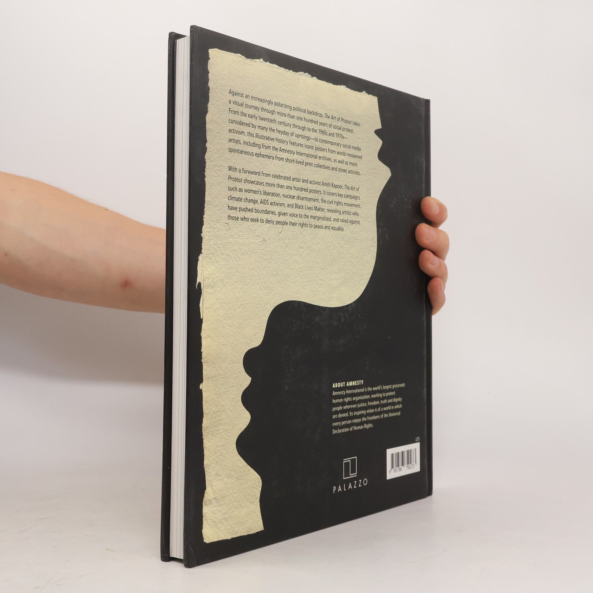 Joanne Rippon The Art of Protest