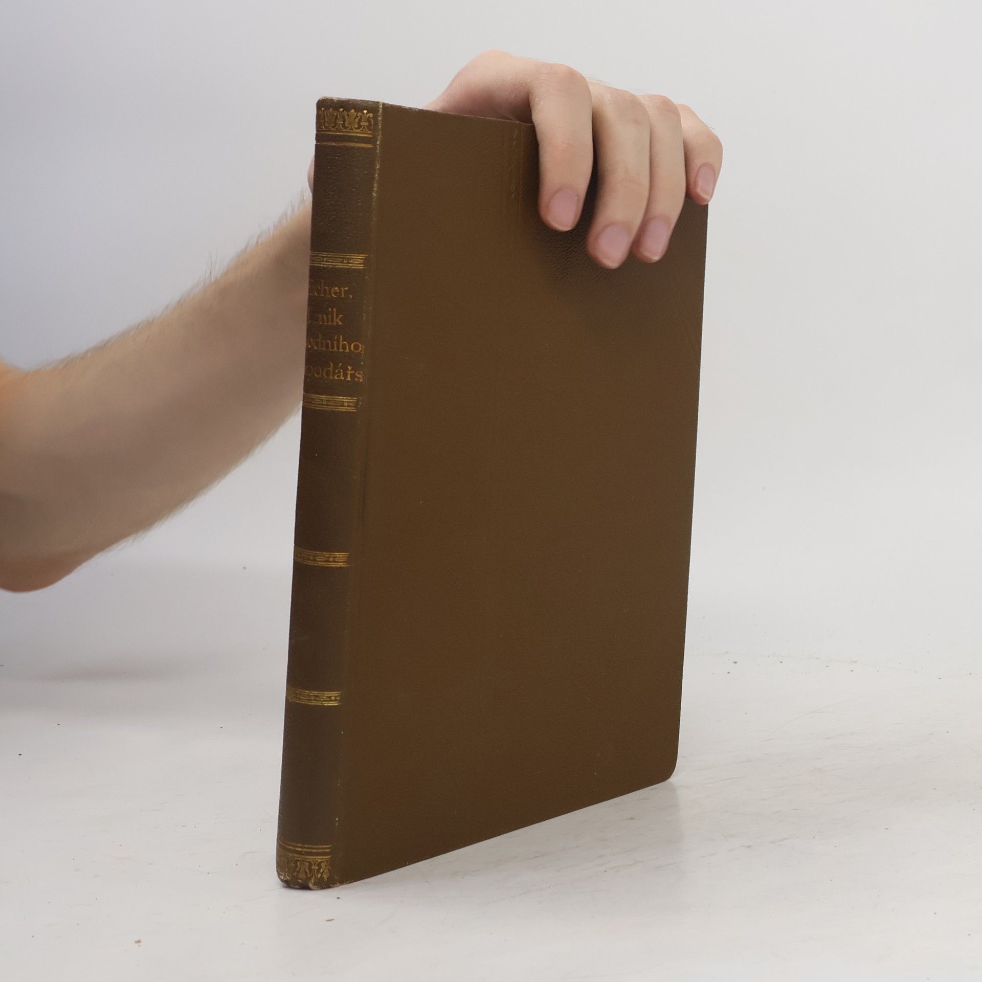 Karel Bücher Vznik národního hospodářství