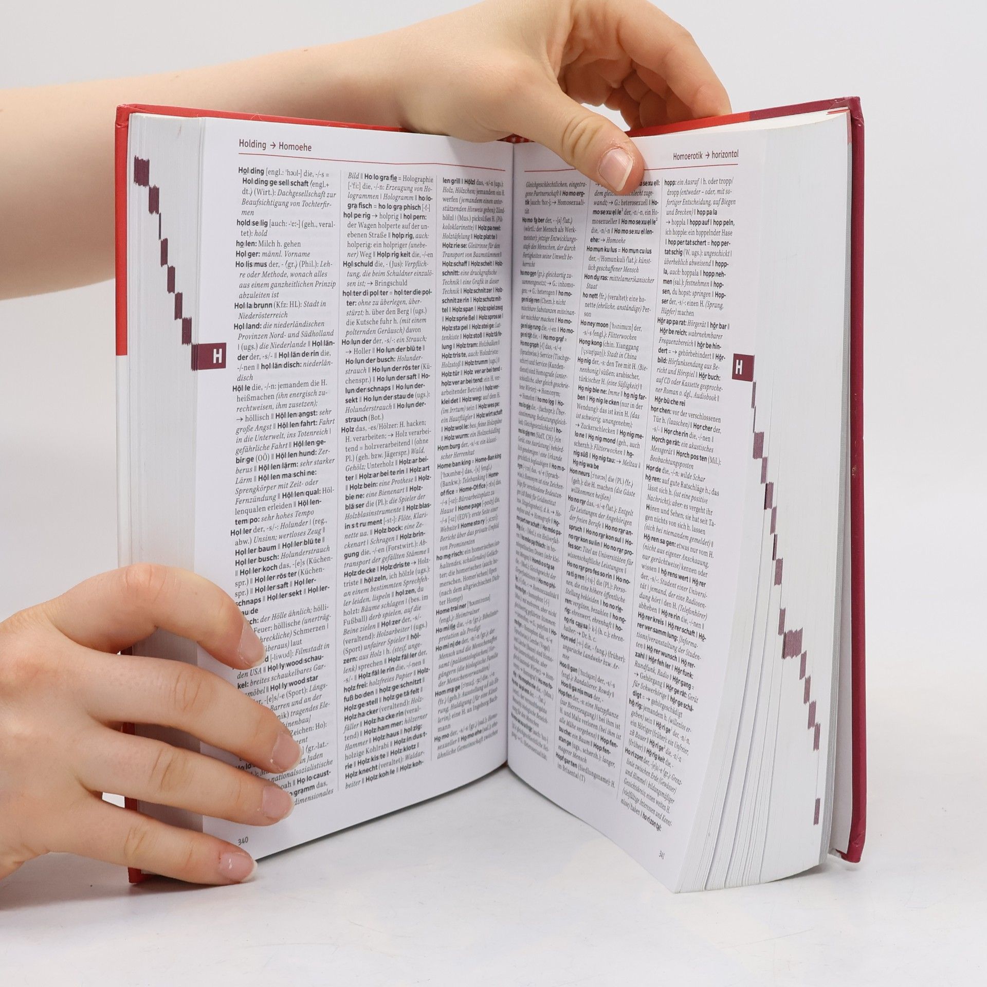 Collectif d'auteurs Österreichisches Wörterbuch