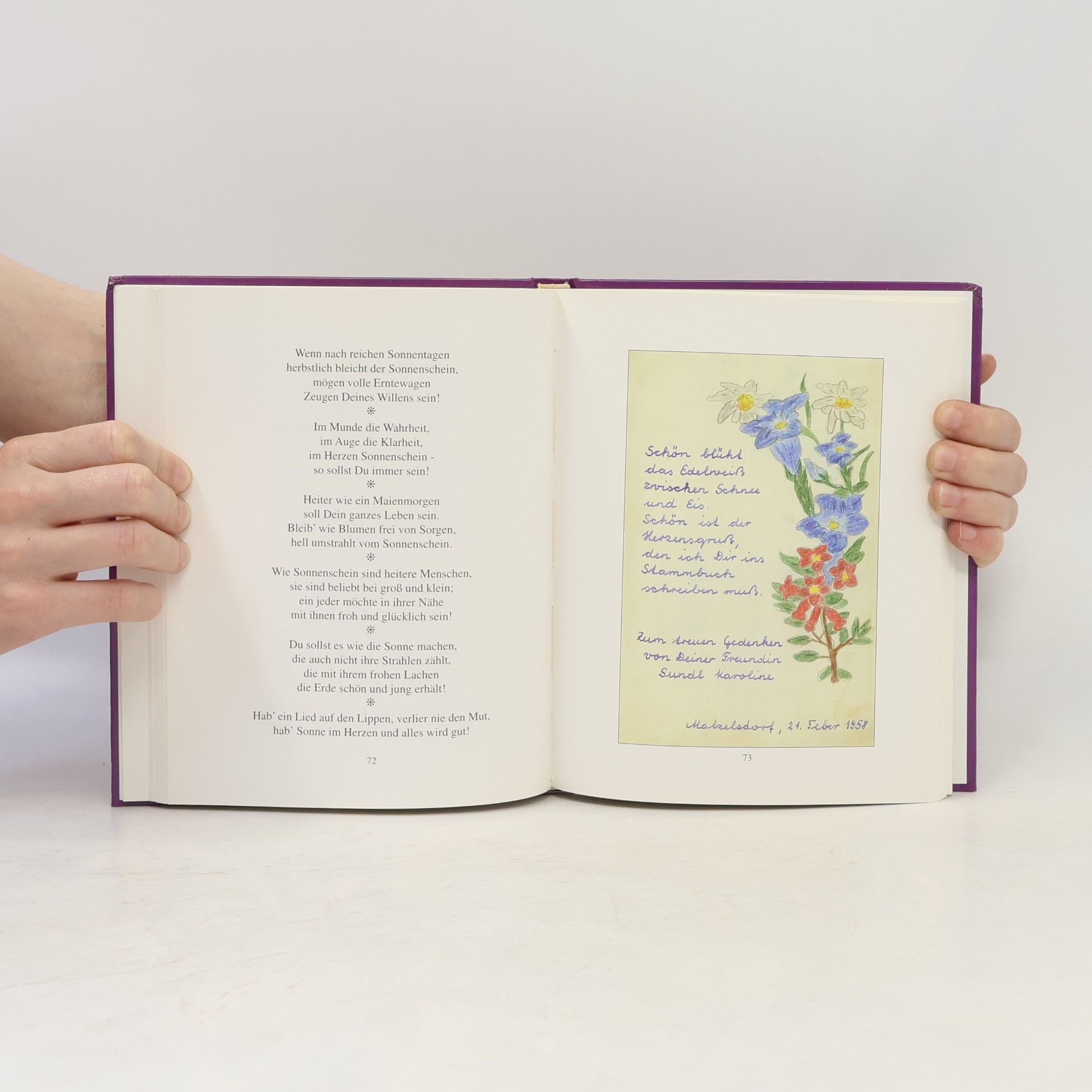 Peter Stelzl Steirische stammbuchpoesie