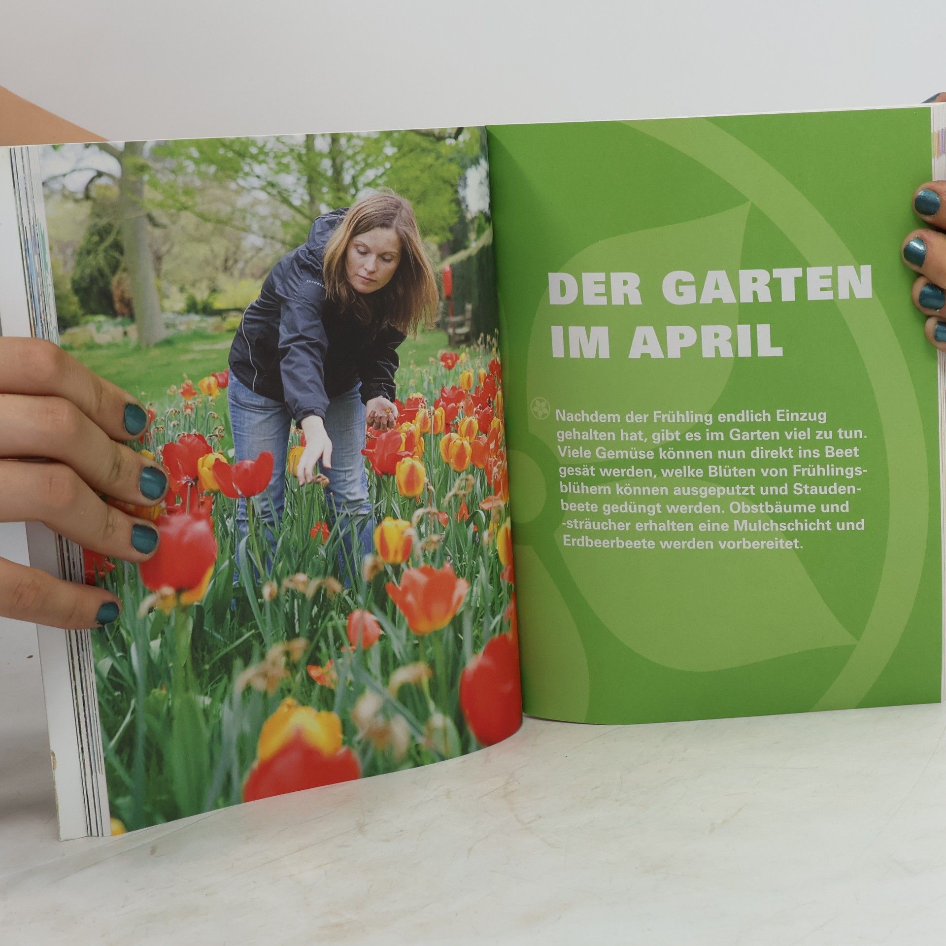 Ceri Thomas Mein Gartenjahr