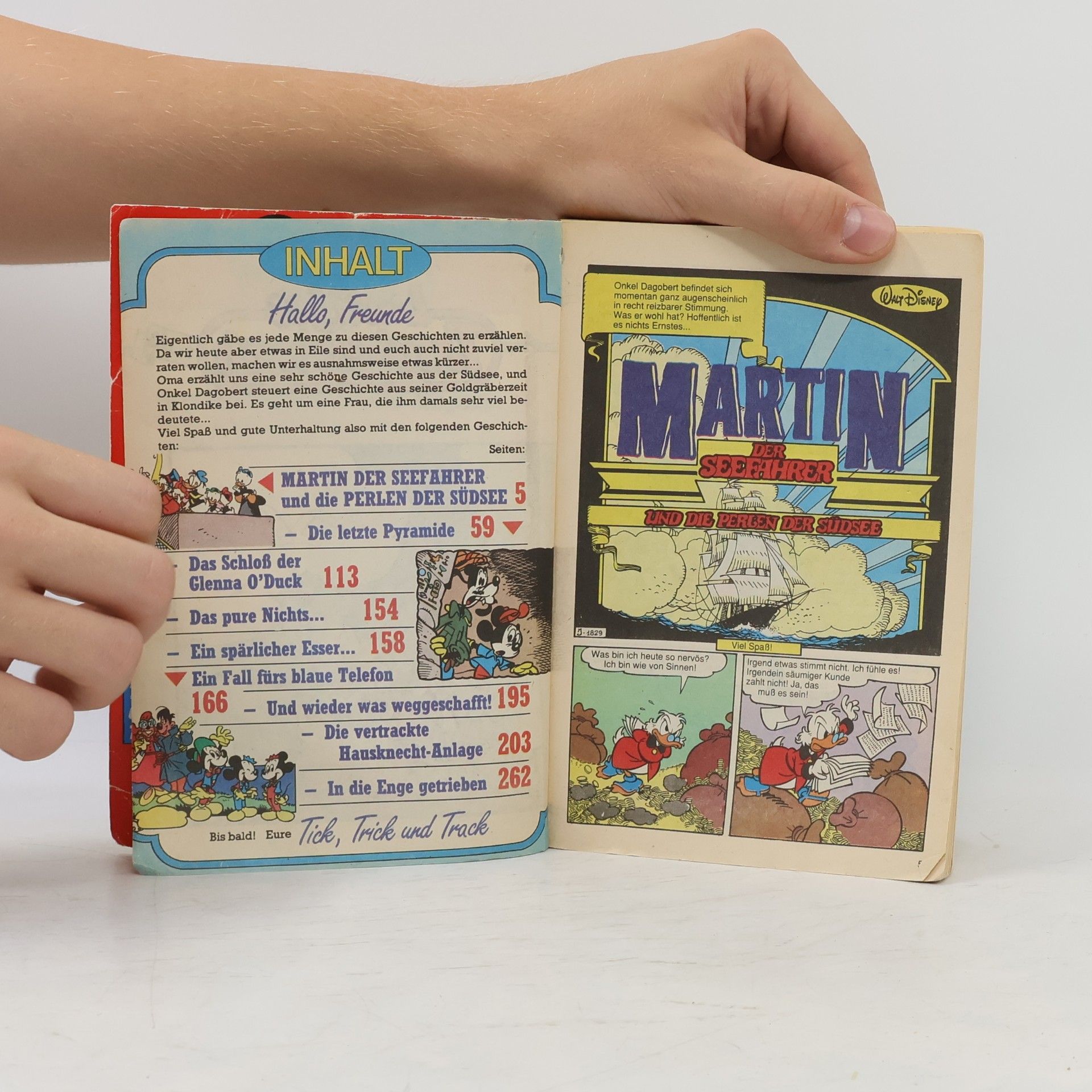 Walt Disney Lustiges Taschenbuch 163: Das Schloß der Glenna O'Duck