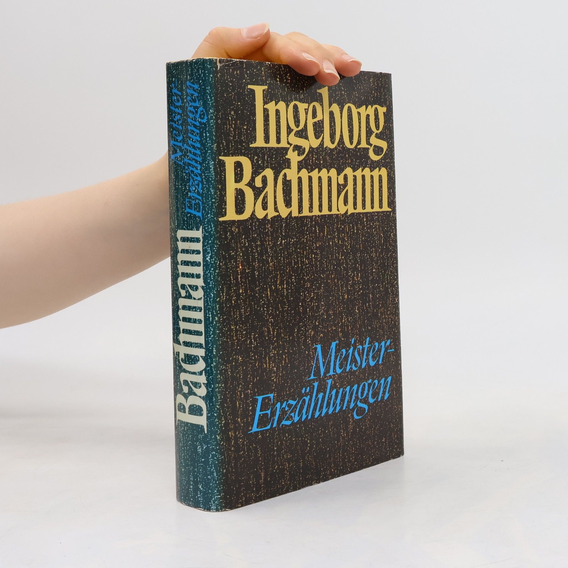 Ingeborg Bachmann Meister-Erzählungen