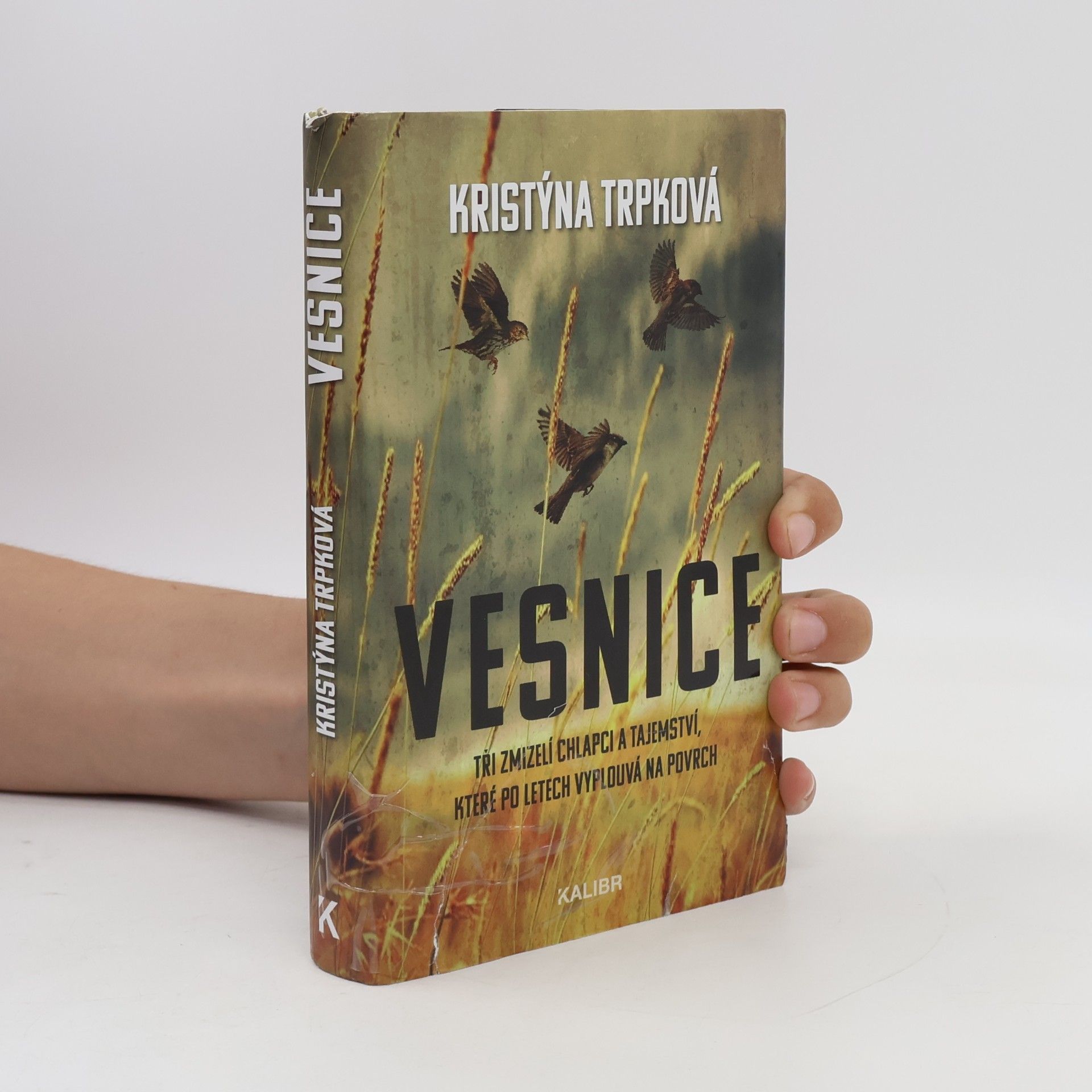 Kristýna Trpková Vesnice