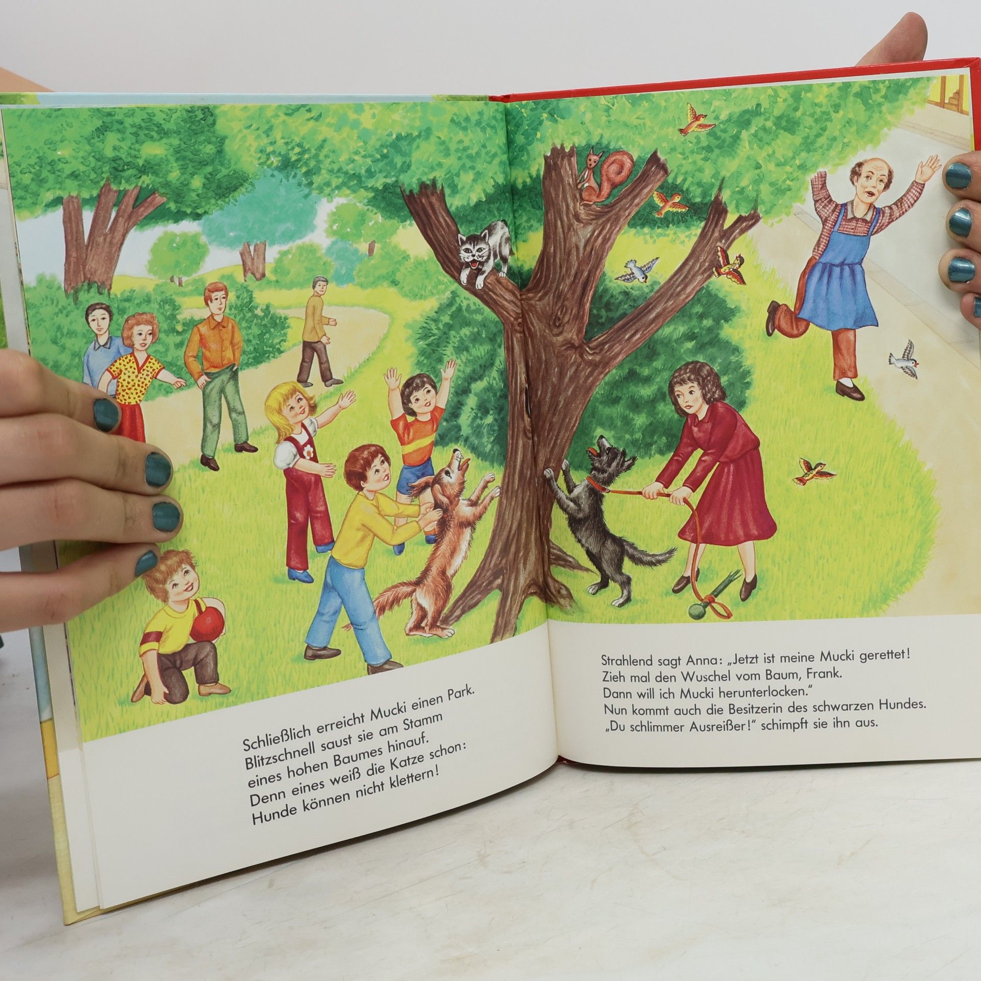 Hund und Katz, die wilde Hatz. Grossdruckschrift