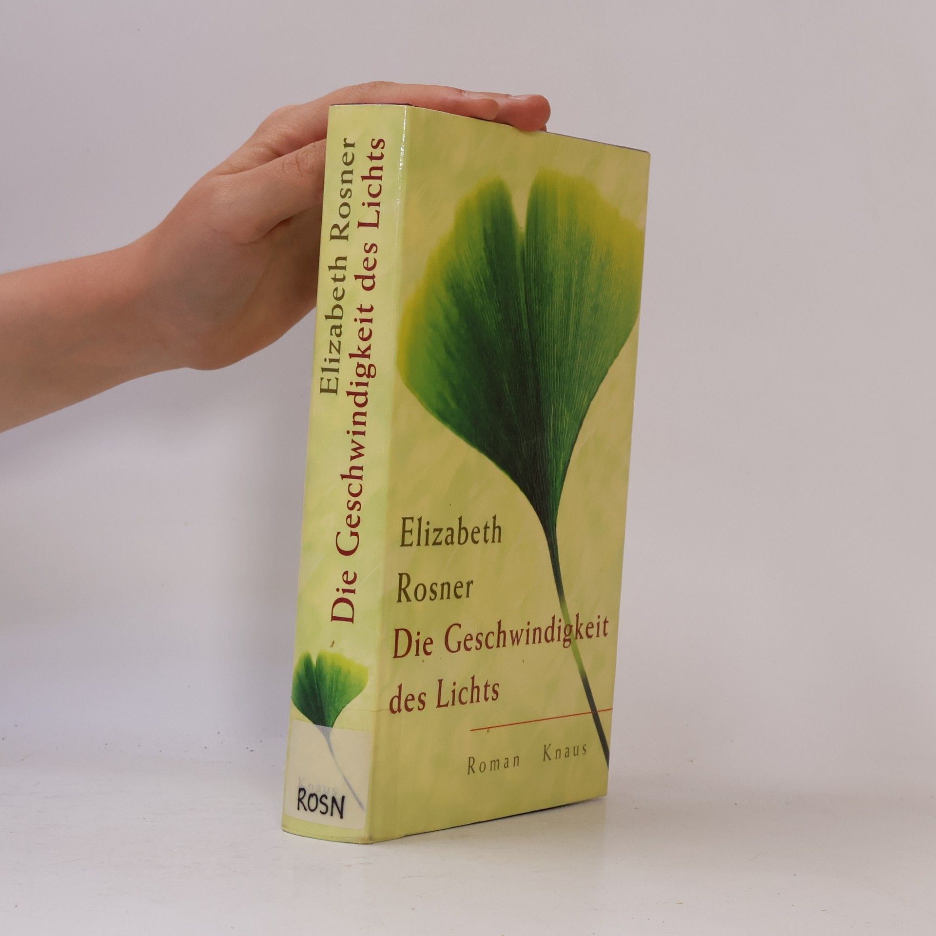 Elisabeth Rosner Die Geschwindigkeit des Lichts