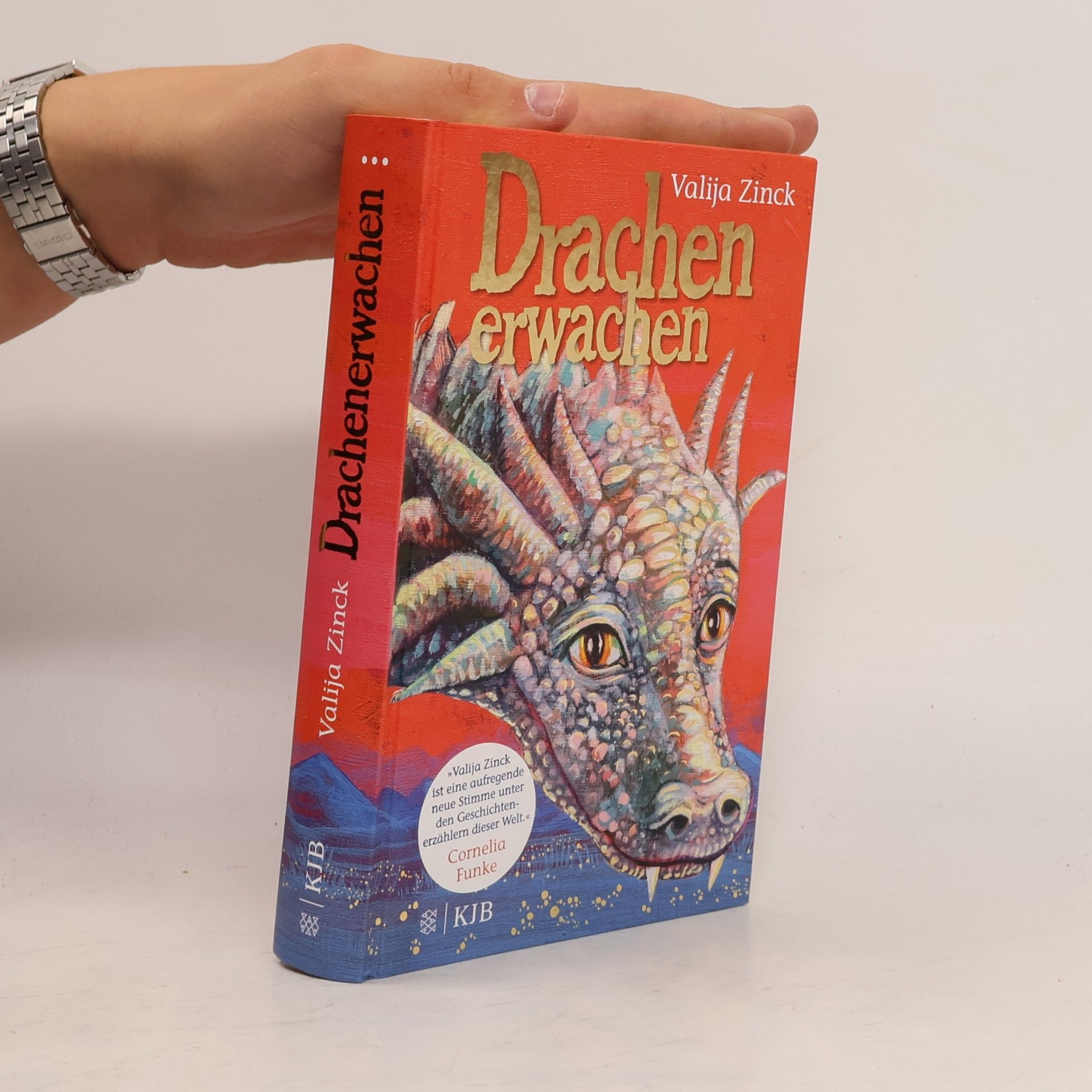 Valija Zinck Drachenerwachen