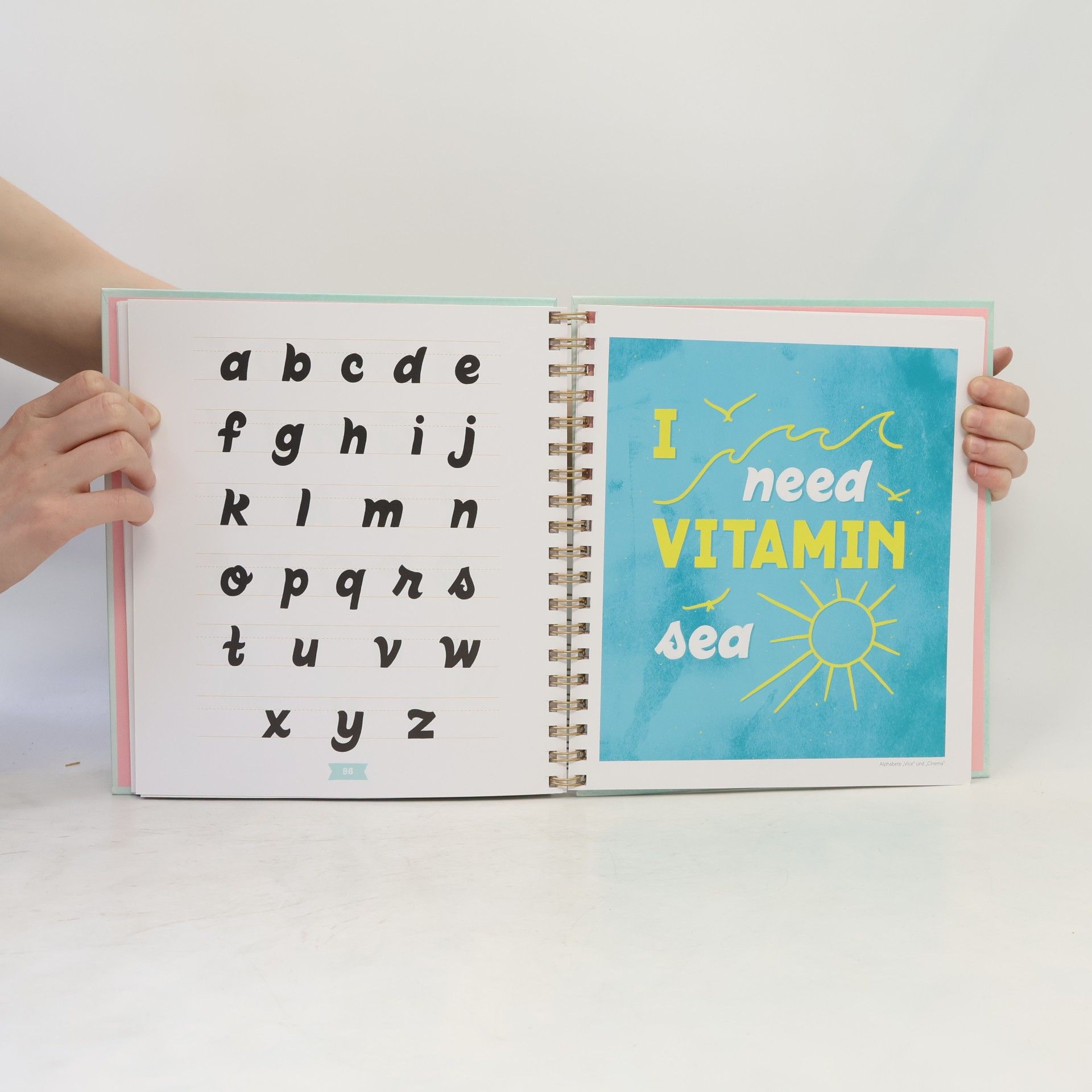 Auteurscollectief Handlettering Ideenbuch Alphabete & Schriften
